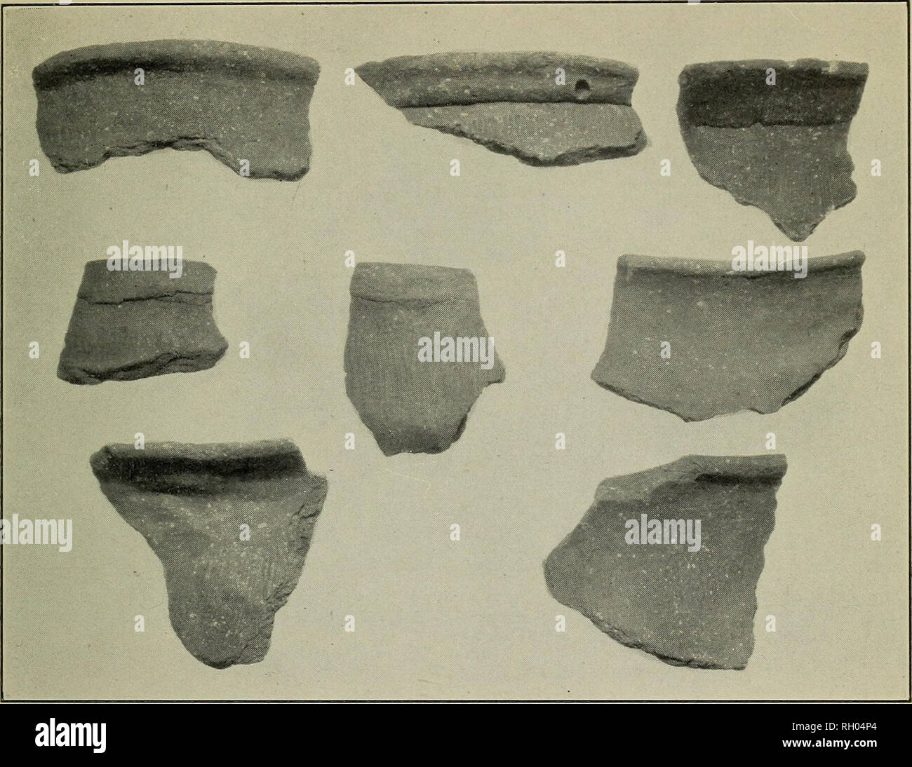 . Bollettino. Etnologia. Ufficio di presidenza americana di etnologia bollettino 118 piastra 147. Superfici esterne di sherds da grafici 16 e 17. Sherds 1, 2 e 3 sono elencati come 9, 37 e 43 del grafico Sherds da 3 a 7 sono elencati come 13, 4, 101, 54 e 72 del grafico 17.. Si prega di notare che queste immagini vengono estratte dalla pagina sottoposta a scansione di immagini che possono essere state migliorate digitalmente per la leggibilità - Colorazione e aspetto di queste illustrazioni potrebbero non perfettamente assomigliano al lavoro originale. Smithsonian Institution. Ufficio di presidenza di Etnologia americana. Washington : G. P. O. Foto Stock