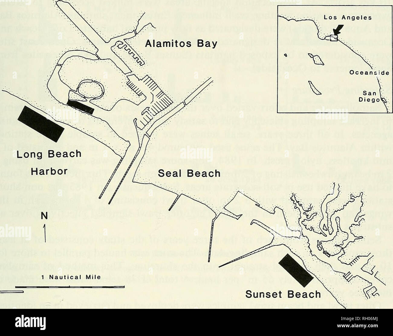 . Bollettino. Scienza e storia naturale; storia naturale. CALIFORNIA IPPOGLOSSO NELLE ALAMITOS BAY-LONG BEACH HARBOR 21. Fig. 1. Ubicazione delle stazioni di campionamento entro la zona di studio vicino Alamitos Bay-Long Porto Spiaggia. larve di ippoglosso a essere rari entro gli alloggiamenti stessi (Bianco 1977; clacson e Allen 1980; Leithiser 1981). Anche se le informazioni su vari aspetti della storia di vita ed ecologia di ippoglosso della California sta rapidamente diventando disponibile, poco è conosciuto circa il giovane critico dell'anno nella precedente fase di questo studio. Questa lacuna nelle informazioni e la hy- potheses circa la distribuzione dei primi anni di vita Foto Stock