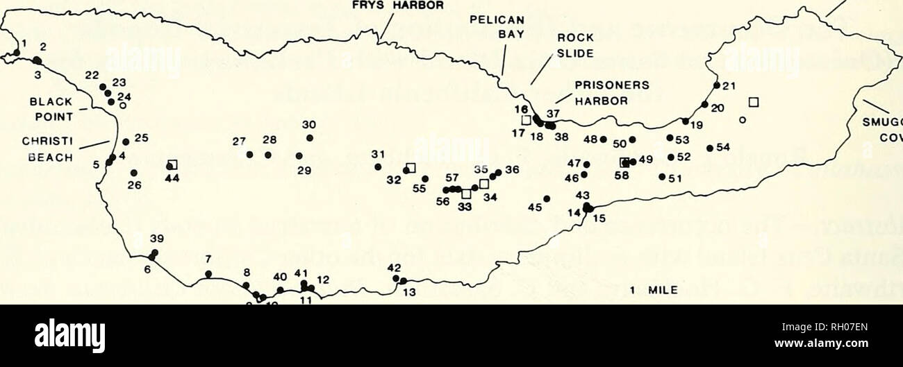 . Bollettino. Scienza e storia naturale; storia naturale. 24 SUD DELLA ACCADEMIA DELLE SCIENZE DELLA CALIFORNIA SCORPION HARBOUR FRYS hiARBOR. SMUGGLERS COVE Fig. 1. Ubicazione del 60 Isola di Santa Cruz siti esaminati in questo studio (vedere metodi per i criteri utilizzati per la scelta di siti di raccolta). Cerchi chiusi rappresentano i siti in cui il isopodi sono stati trovati. I cerchi aperti rappresentano i siti dove apparentemente habitat adatto è stato esaminato ma nessun isopodi sono stati trovati. Sono inoltre indicate le posizioni da cui oniscoids sono state precedentemente riportate (vedere il testo), e le posizioni dei sette siti da cui la Santa Barbara Mus Foto Stock