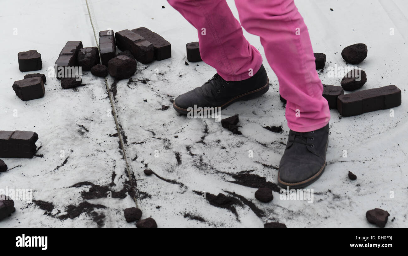 Berlino, Germania. 31 gennaio, 2019. I dimostranti eseguire presso la cancelleria federale durante un'azione dell'organizzazione ambientale Greenpeace. La ragione per cui l'azione è la presentazione dei risultati del carbone commissione stasera presso la sede del Cancelliere tedesco. Il attivisti ambientali richiedono un ritiro immediato dalle miniere di carbone. Credito: Annette Riedl/dpa/Alamy Live News Foto Stock