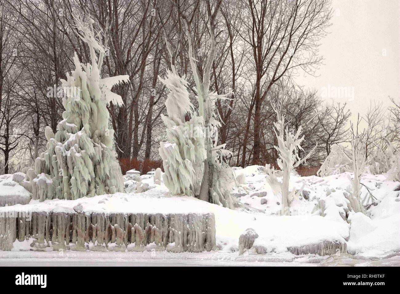 Chicago, Stati Uniti d'America. 31 gennaio, 2019. Gli alberi nei pressi del Lago Michigan sono coperti di neve e ghiaccio a Chicago, negli Stati Uniti, gennaio 31, 2019. Chicago è la più grande città negli Stati Uniti La Midwest, era stato colpito dal vortice polare con la temperatura minima di raggiungere meno 30 gradi Celsius in città. Credito: Wang Ping/Xinhua/Alamy Live News Foto Stock