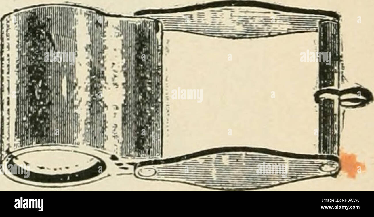 . Bollettino. Agricoltura -- Ontario. Fig. 25. Orologiaio di lente. Fig. 26. Mano L,ens. Una piccola lente di ingrandimento è una necessità per identificare i semi. Sev- erale tipi di occhiali economici possono essere acquistati in quasi ogni negozio gioielli. Tagli di alcuni dei migliori di questi vengono qui fornite. Forse il più comodo e più conveniente di occhiali sono il treppiede di ingrandimento e il tester di biancheria. Identificazione di erbaccia e delle sementi. Il Dipartimento di Botanica è al servizio degli agricoltori, giardinieri, commercianti di sementi e di altri nella identificazione di erbacce, semi di erbaccia, le malattie delle piante, erbe e piante economico. Chiodo di garofano Foto Stock