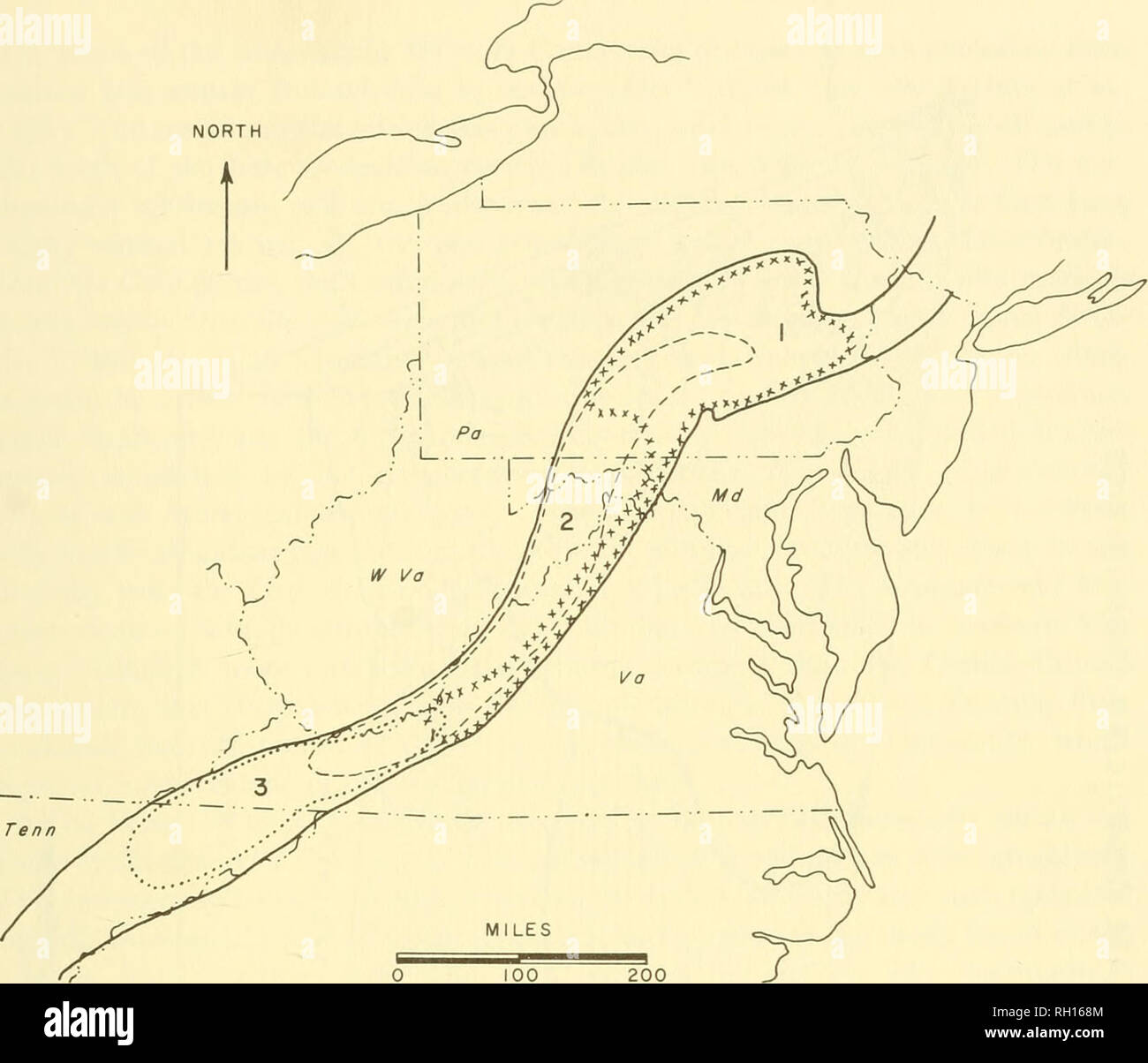 . Bollettino. Storia naturale; Natuurlijke historie. ORDOVICIAN APPALACHIAN ECOLOGIA LATE ORDOVICIAN associazioni faunistiche 55. FIG. 24. Distribuzione di Late Ordovician associazioni faunistiche (europee) nel centro di ap- palachians. I dati dalle figure 13, 14, 16 e 17 sono combinati per formare questo modello distributivo (vedi tabella 9 per la composizione delle specie). La figura 6 illustra le relazioni stratigrafiche dell'associazione faunistico si sovrappone. Le comunità sono: 1. Comunità Sowerbyella-Onniella 2. Comunità Orthorhynchula-Ambonychia 3. Zygospira-Hebertella comunità ambienti di recente, un'area o Foto Stock