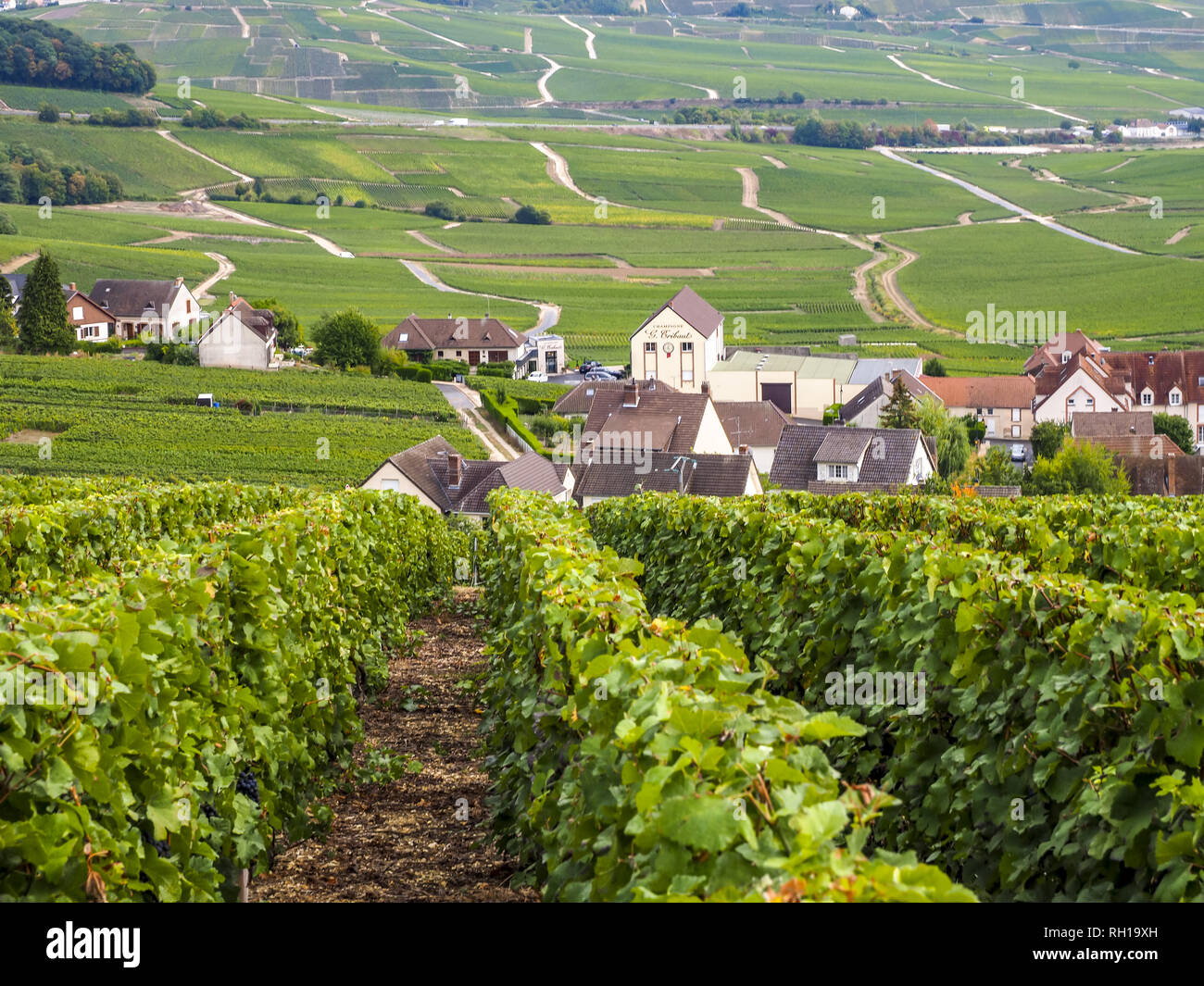 Dom Perignon, Hautvillers, Champagne, Marne, Francia, Europa Foto Stock