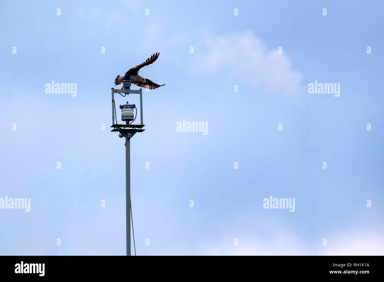 Montante di comunicazione del moderno yacht con set di antenne Foto Stock