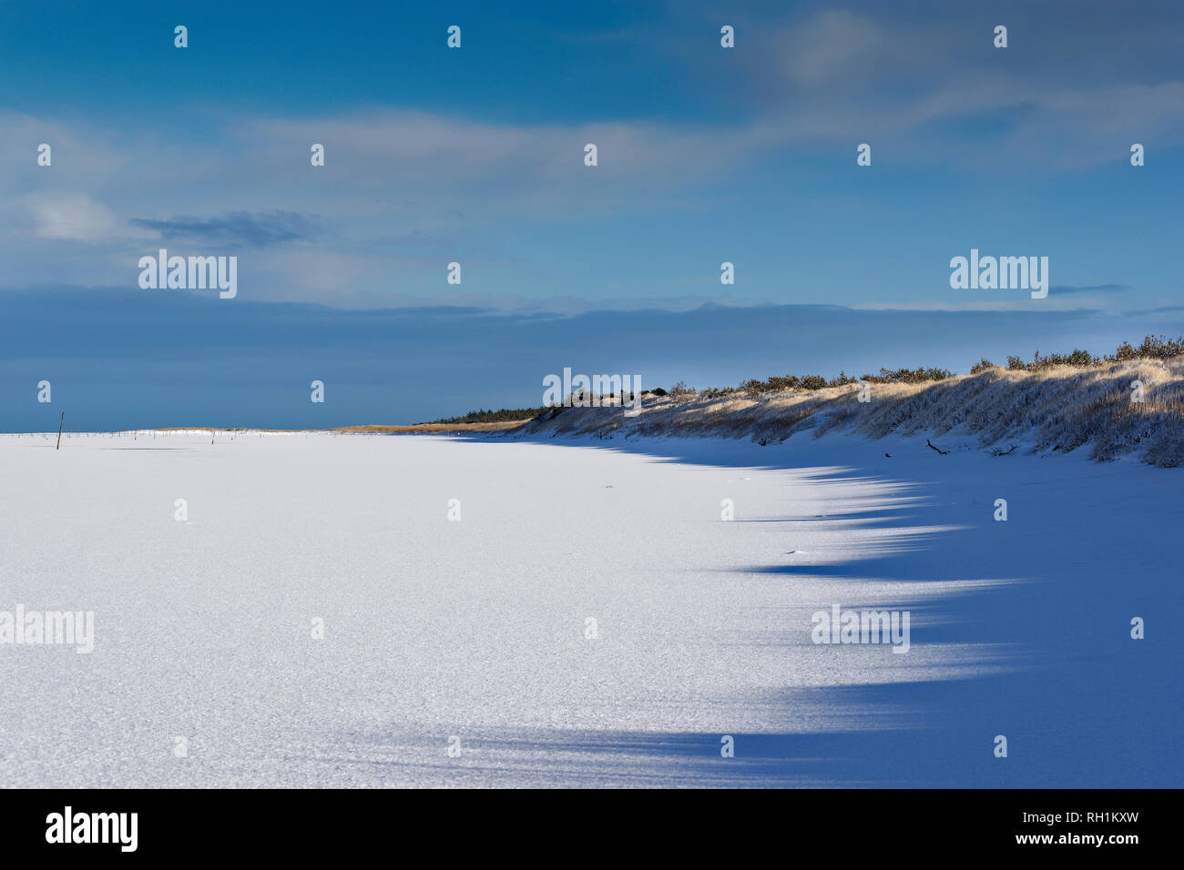 Foresta CULBIN FORRES MORAY Scozia vista della coperta di neve CULBIN BEACH e ombre dalla duna Foto Stock