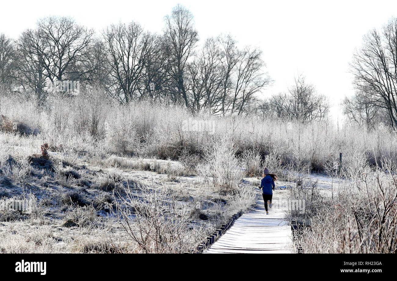 Una donna corre attraverso un gelido paesaggio vicino a Ashford in Kent, dopo il Regno Unito aveva la sua notte più freddi dell'inverno così lontano come il freddo snap continua a causare condizioni di gelo in tutto il paese. Foto Stock