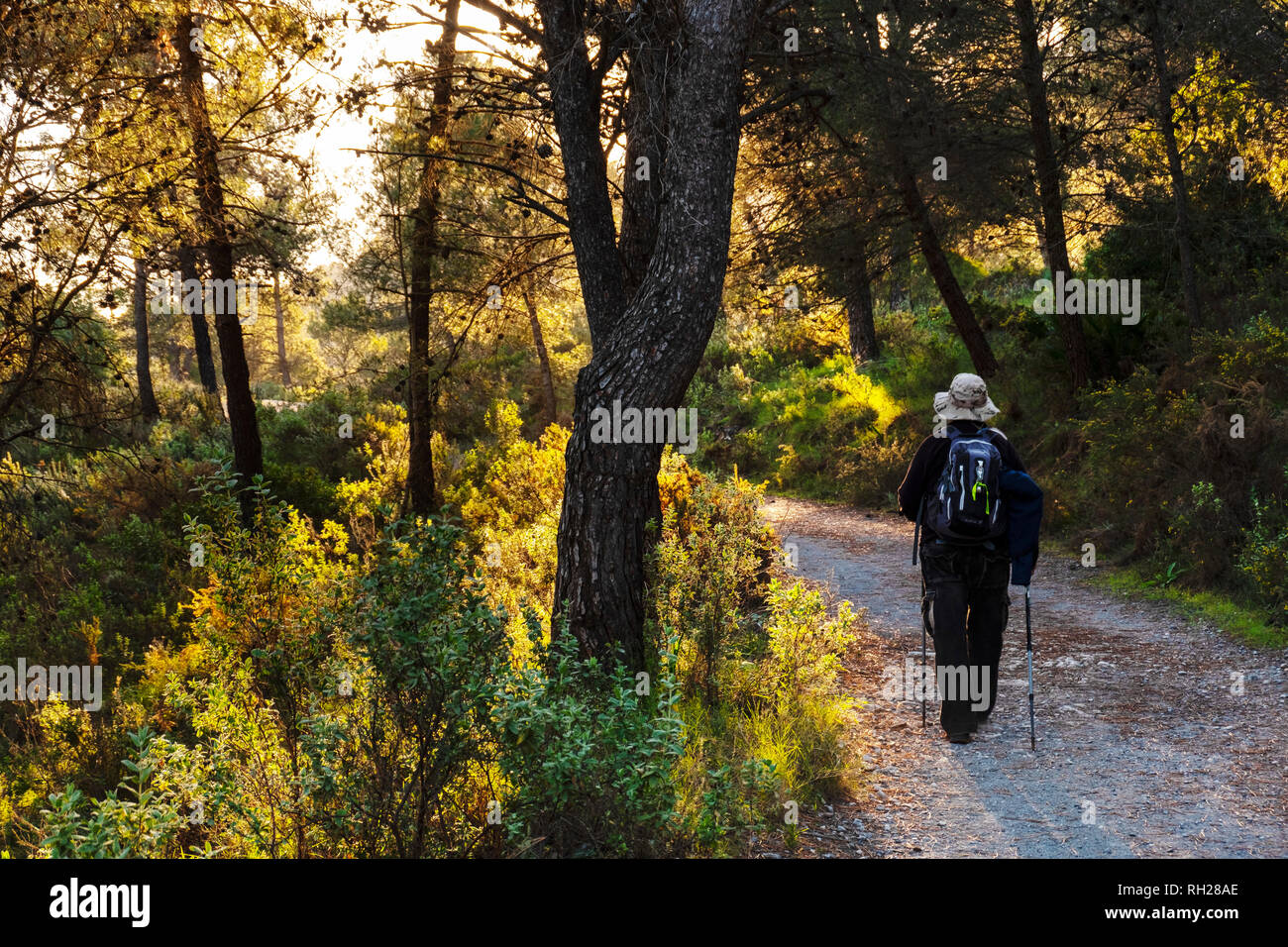 Trekking, Natura paesaggio. Alba in spazi naturali di moneta, sentiero per camminare nella natura. La valle del Guadalhorce. Provincia di Malaga, Andalusia. Spagna Europ Foto Stock