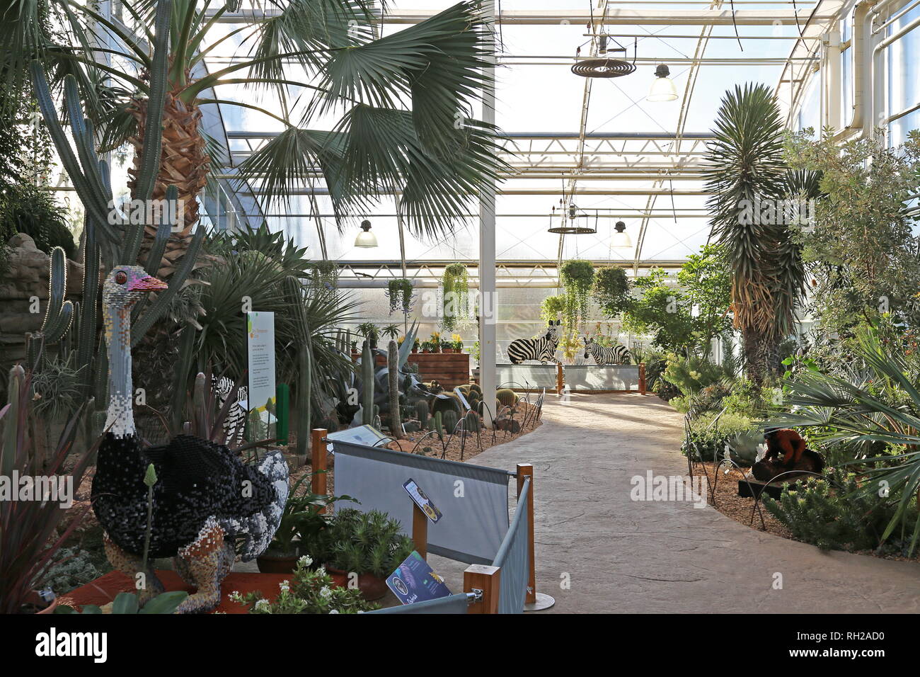 Grande mattone Safari 2019, secco zona temperata con i modelli di Lego, giardino RHS Wisley, Woking, Surrey, Inghilterra, Gran Bretagna, Regno Unito, Gran Bretagna, Europa Foto Stock