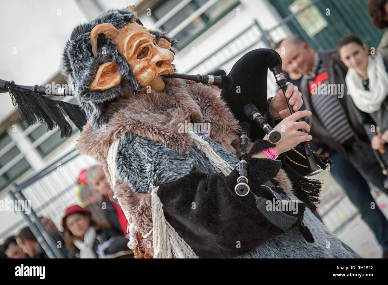 Il tema degli animali musica Portoghese band uomo riproduzione di cornamusa - Mealhada Carnaval parade - Portogallo Foto Stock