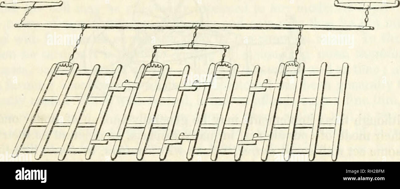 . Allevamento britannico; esibendo le pratiche agricole in varie parti del Regno Unito. Agricoltura; cbk. Ch. II.] erpici. 25 log o due di legno su di esso, di affondare i denti, wliich altrimenti non gene- rally penetrare oltre la metà, o in più di due terzi del loro depll;. È anche un oggetto di una certa importanza, nella copertura di sementi tlie, per evitare il calpestio del bestiame quando straziante, con la vista che non è affatto raro per unire tre o anche più erpici insieme, in modo da coprire tutta la larghezza della cresta. Essi sono tlien fissato dalle catene per un lungo palo exten Foto Stock