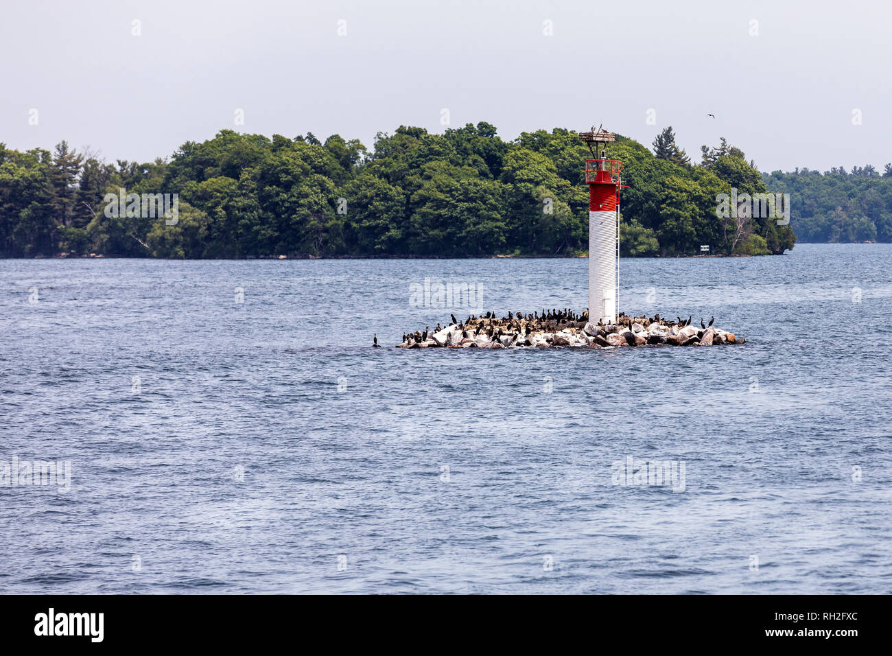 Un faro rosso dal fiume San Lorenzo, Ontario, Canada, con abbondanza di uccelli nella parte inferiore Foto Stock