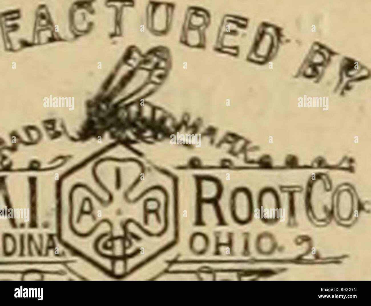 . British bee ufficiale &AMP; gli apicoltori consigliere. Le api. TheAJJO) - MIDIMBsggX OH 10- 9. I concessionari e gli apicoltori vedrà i suddetti marchi stampigliati su ogni pacchetto originale di root, erbacce e sulla slitta all interno di ogni tale confezione, dal 1 lb. al 50 lb. dimensioni. " WEED " eccelle su tutte le altre fondazioni in puro- cesso, con impossibilità di comunicare fallo germi di covata, tenacità e conseguente economicità, facilità di movimentazione in tutti i tempi senza rotture e accettazione da parte dell'api. Queste rivendicazioni sono ora copiati dai fornitori di altre fondazioni importati che, non essendo realizzato su un erbaccia ma Foto Stock