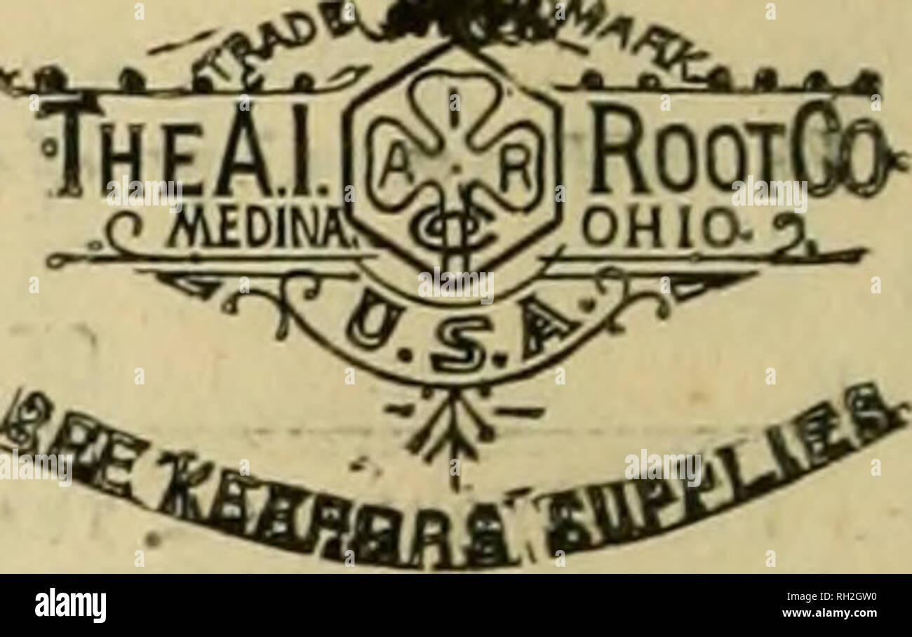 . British bee ufficiale &AMP; gli apicoltori consigliere. Le api. Ho ^^&amp;8***&GT;. I concessionari e gli apicoltori vedrà mar sopra marchi stampigliati su ogni pacchetto originale di root, erbacce e sulla slitta all interno di ogni tale confezione, dal 1 lb. al 50 lb. dimensioni. " WEED " eccelle su tutte le altre fondazioni in puro- ness, con impossibilità di comunicare fallo germi di covata, tenacità e conseguente economicità, facilità di movimentazione in tutti i tempi senza rotture e accettazione da parte dell'api. Queste rivendicazioni sono ora copiati dai fornitori di altre fondazioni importati che, non essendo effettuata su una macchina di erbaccia, non è in grado di Foto Stock