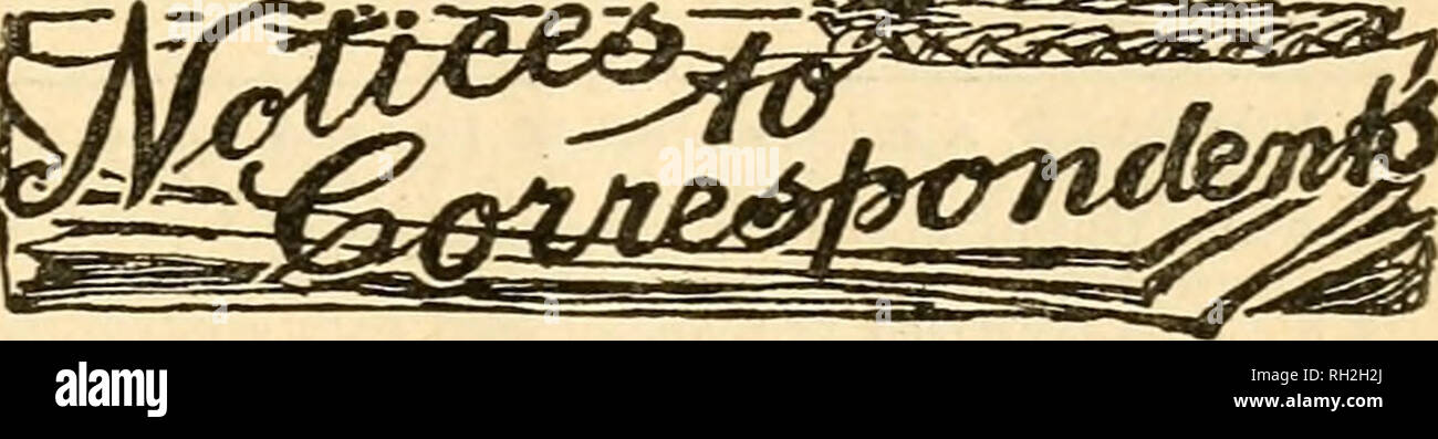 . British bee ufficiale &AMP; gli apicoltori consigliere. Le api. Maggio 27, 1915.] La BEITISH BEE JOUENAL. 181 salubre e, da tutti i punti di vista, il più desiderabile forma di zucchero. Oltre il 88 per cento di zucchero raffinato è prodotta fi'om materie. La melassa di canna sono di gran lunga superiori a quelle di barbabietole. " Da 20 a 30 per cento, delle impurezze presenti in zucchero di canna consistono di zucchero che è stato cambiato nel processo. La dolcificazione della capacità di questo zucchero è quasi uguale al cristallino di zucchero di canna, e com- mands un preciso valore di mercato. Ma il melasso di barbabietola, al contrario, sono caricati con impurità di Foto Stock