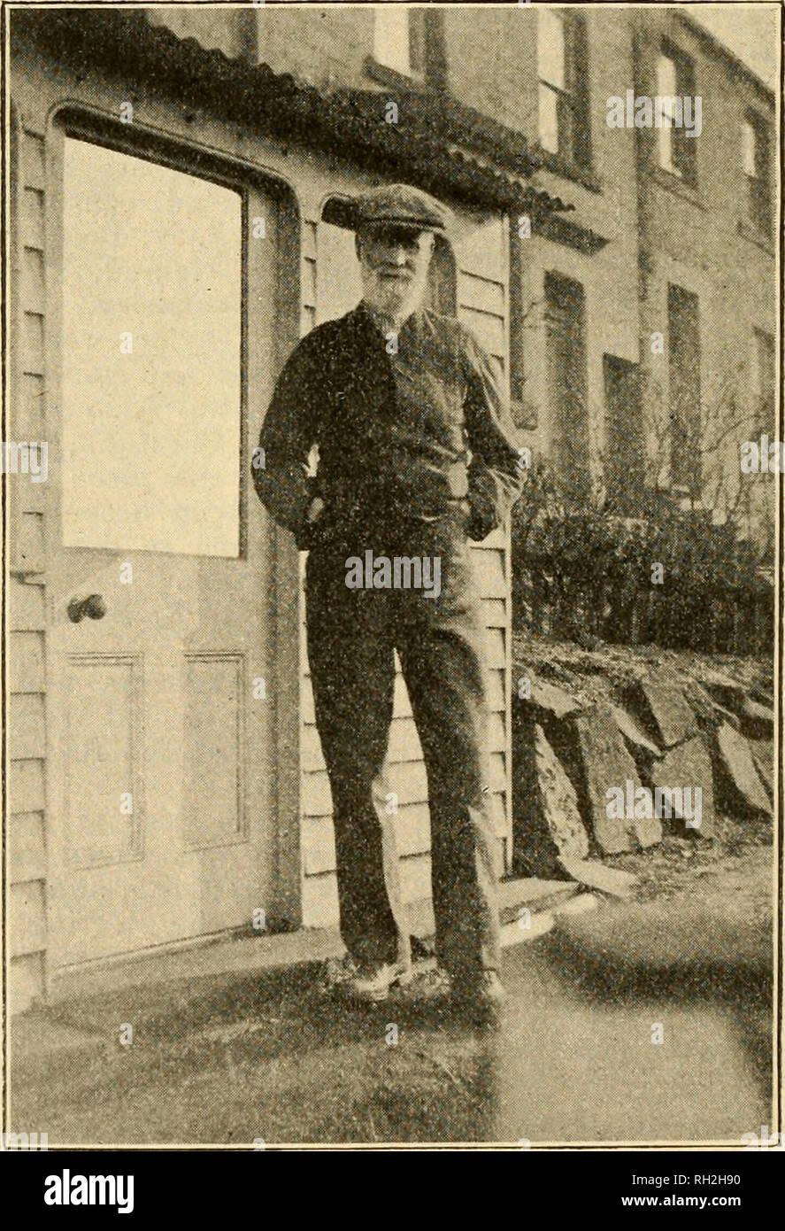 . British bee ufficiale &AMP; gli apicoltori consigliere. Le api. 174 IL BRITISH BLE ufficiale. [27 maggio 1915. e 2nd, Chris Hudson; 3rd, H. Mackereth. In serata una conferenza su " alcuni concetti di base del successo apicoltura " è stata data dal sig. Chas. H. Heap, in corrispondenza del quale vi è stata una partecipazione a fiere. La riunione mensile del Comitato si è svolta a Preston sabato 8 maggio. Presente, il dottor Radlett (presidente), i sigg. Taylor, Walmsley, Carr, Warwick, e l'on. Sec. Il sig. C. H. Heap, associazione esperto, era anche presente. Il business incluso la nomina di due locali lion. vede. Miss Ada C Foto Stock