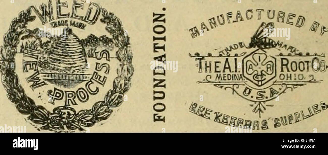 . British bee ufficiale &AMP; gli apicoltori consigliere. Le api. Nuovo con tante novità. Post libera sull'applicazione. Prati, Syston, Leicester. ho ^cJf^%. I concessionari e gli apicoltori vedrà i suddetti marchi stampigliati su ogni pacchetto originale di root, erbacce e sulla slitta all interno di ogni tale confezione, dal 1 lb. al 50 lb. dimensioni. " WEED " eccelle su tutte le altre fondazioni in puro- nes®, con impossibilità di comunicare fallo germi di covata, tenacità e conseguente economicità, facilità di movimentazione in tutti i tempi senza rotture e accettazione da parte dell'api. Queste rivendicazioni sono ora copivid dai fornitori di altri im Foto Stock