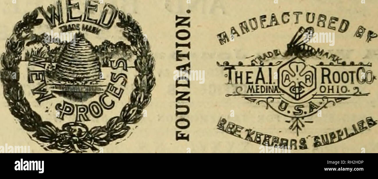 . British bee ufficiale &AMP; gli apicoltori consigliere. Le api. Nuovo con tante novità. Post libera sull'applicazione. Prati, Syston, Leicester. British Bee ufficiale e gli apicoltori' Record ufficio, 8, Henrietta-street, Covent Garden, Londra, W.C.. I concessionari e gli apicoltori vedrà i suddetti marchi stampigliati su ogni pacchetto originale di root, erbacce e sulla slitta all interno di ogni tale confezione, dal 1 lb. al 50 lb. 6ize. " WEED '* eccelle su tutte le altre fondazioni in puro- ness, con impossibilità di comunicare fallo germi di covata, tenacità e conseguente economicità, facilità di movimentazione in tutti i tempi senza b Foto Stock