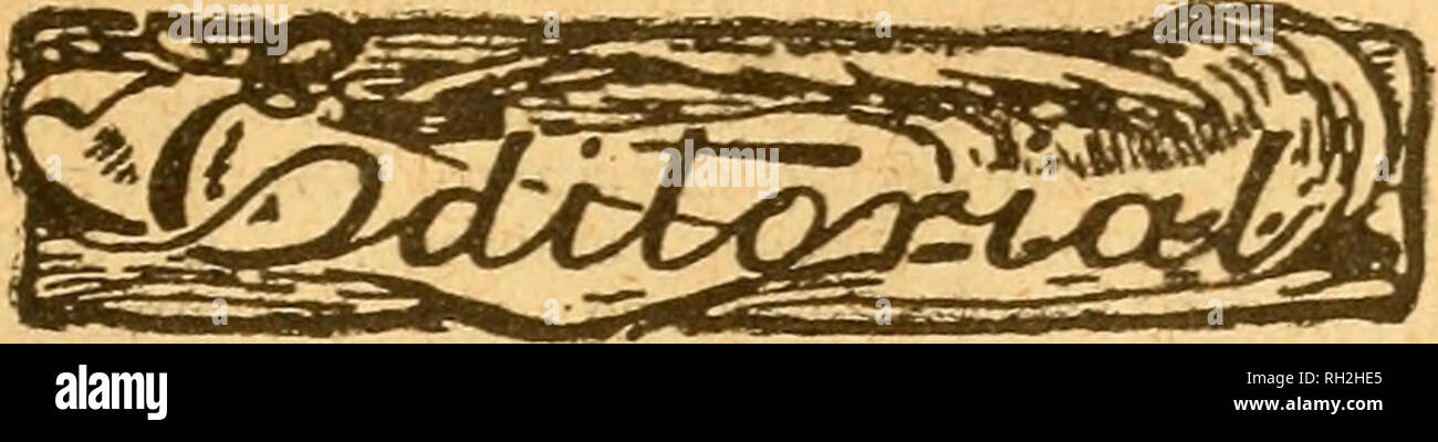 . British bee ufficiale &AMP; gli apicoltori consigliere. Le api. Luglio 7, 1921. Il BBITISH BEE JOUENAL. 305. Clubbing offerta regalo. Wc scusarmi per non annunciare nella nostra ultima questione il nome del vincitore, a causa di una forte pressione sul nostro spazio all'ultimo momento. Il nucleo Carniolan su tre semicombs di alluminio è stato premiato dal voto al Dottor J. G. Smith, di contea e città Dental Hospital, Burg- hill, Hereford. Il nucleo che è stato avviato il 23 giugno è a buon pro- gress, e sarà inoltrato con il nostro com- pliments al dottor Smith circa la metà di questo mese. Essa dovrebbe avere ampie possibilità di Foto Stock