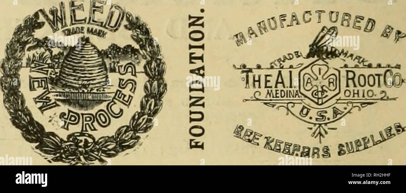 . British bee ufficiale &AMP; gli apicoltori consigliere. Le api. Nuovo con tante novità. Post libera sull'applicazione. Prati, Syston, Leicester.. I concessionari e gli apicoltori vedrà i suddetti marchi stampigliati su ogni pacchetto originale di root, erbacce e sulla slitta all interno di ogni tale confezione, dal 1 lb. al 50 lb. dimensioni. " WEED " eccelle su tutte le altre fondazioni in puro- ness, con impossibilità di comunicare fallo germi di covata, tenacità e conseguente economicità, facilità di movimentazione in tutti i tempi senza rotture e accettazione da parte dell'api. Queste rivendicazioni sono ora copiati dai fornitori di altri importati fou Foto Stock