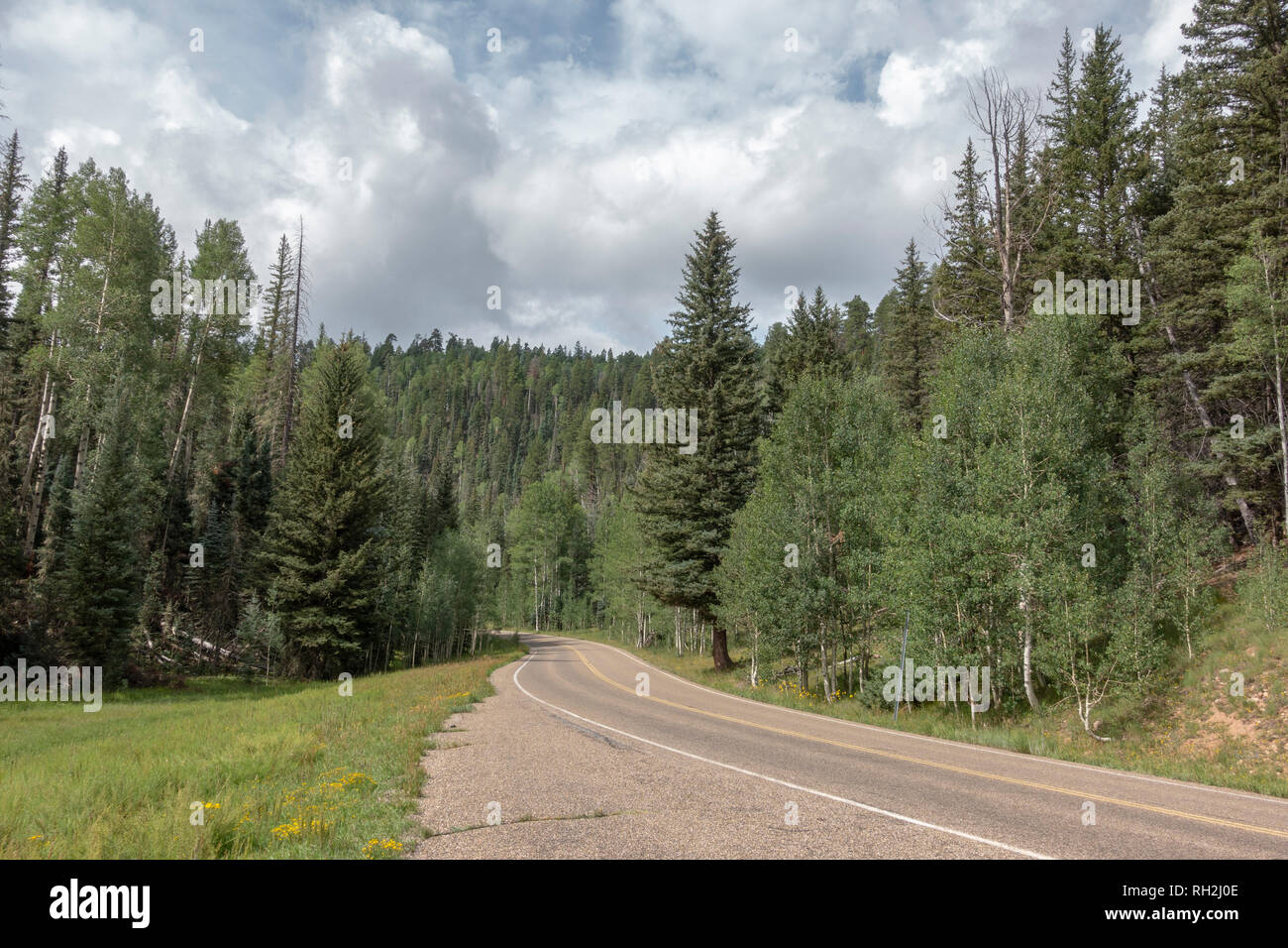 Vista generale della strada forestale attraverso l'Altopiano Kaibab che conducono verso il Grand Canyon Lodge, North Rim, Arizona, Stati Uniti. Foto Stock