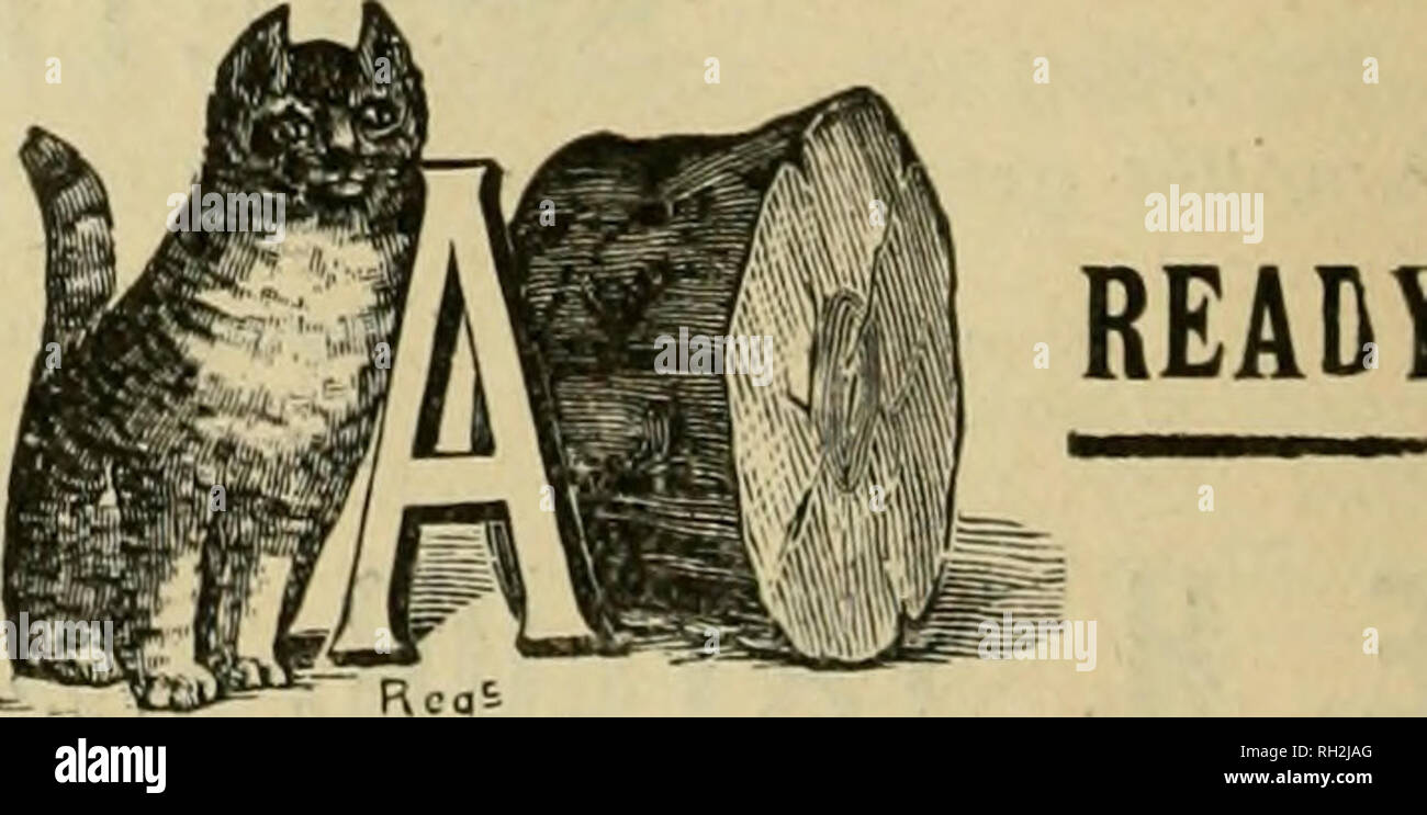 . British bee ufficiale &AMP; gli apicoltori consigliere. Api. g i&amp;tU^'*** ****&amp;&amp;&GT;* i Concessionari e gli apicoltori vedrà i suddetti marchi stampigliati su ogni pacchetto originale di root, erbacce e sulla slitta all interno di ogni tale confezione, dal 1 lb. al 50 lb. dimensioni. " WEED " eccelle su tutte le altre fondazioni in puro- ness, con impossibilità di comunicare fallo germi di covata, tenacità e conseguente economicità, facilità di movimentazione in tutti i tempi senza rotture e accettazione da parte dell'api. Queste rivendicazioni sono ora copiati dai fornitori di altre fondazioni importati che, non essendo realizzato su un wee Foto Stock