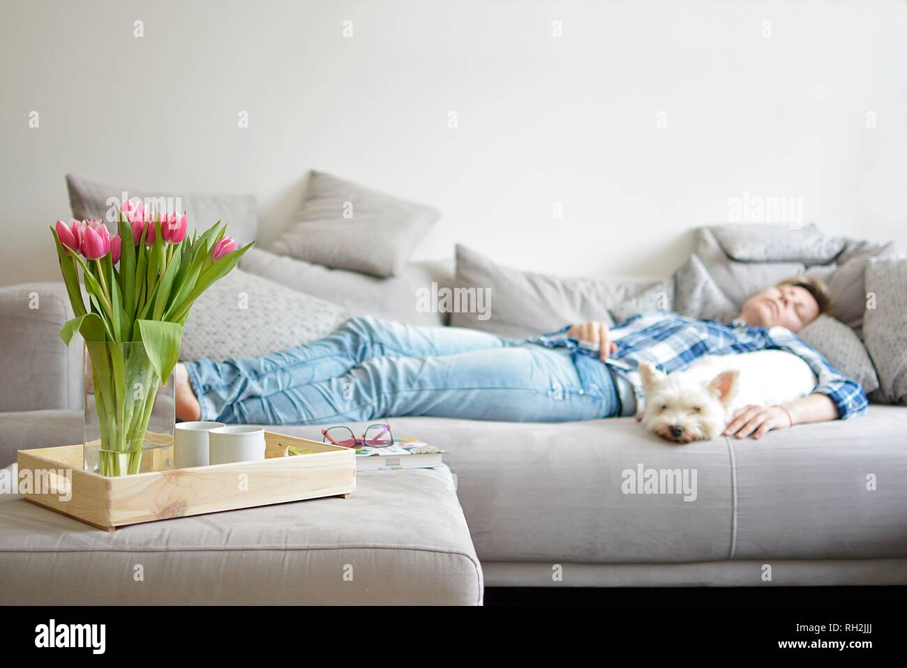 Bouquet di tulipani e in background una donna addormentata con un cane bianco Foto Stock