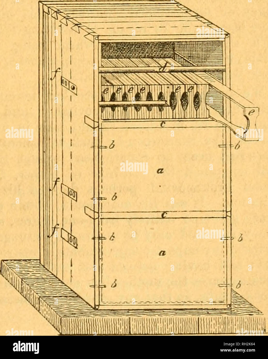 . British bee ufficiale &AMP; gli apicoltori consigliere. Le api. Ottobre 23, 1902]. Il British BEE UFFICIALE. 423 era stata ricevuta dall'ufficio del B.B.K.A. Ha pensato che nessuno potrebbe obiettare a pagare un centesimo per alveare, e se non è stato fatto attraverso le associazioni affiliate il lavoro potrebbe non essere eseguite correttamente. Ogni persona che non appartengono ad un'associazione, ma ha voluto nondimeno essere incluso nell'elenco B.B.K.A. degli assicuratori, pagato un extra di 6d. Segretari, aiutando in questo business, hanno consentito ai membri di effettuare la loro assicurazione in 6d. inferiore rispetto a quello che altrimenti potrebbero. Egli spera segretari locale Foto Stock