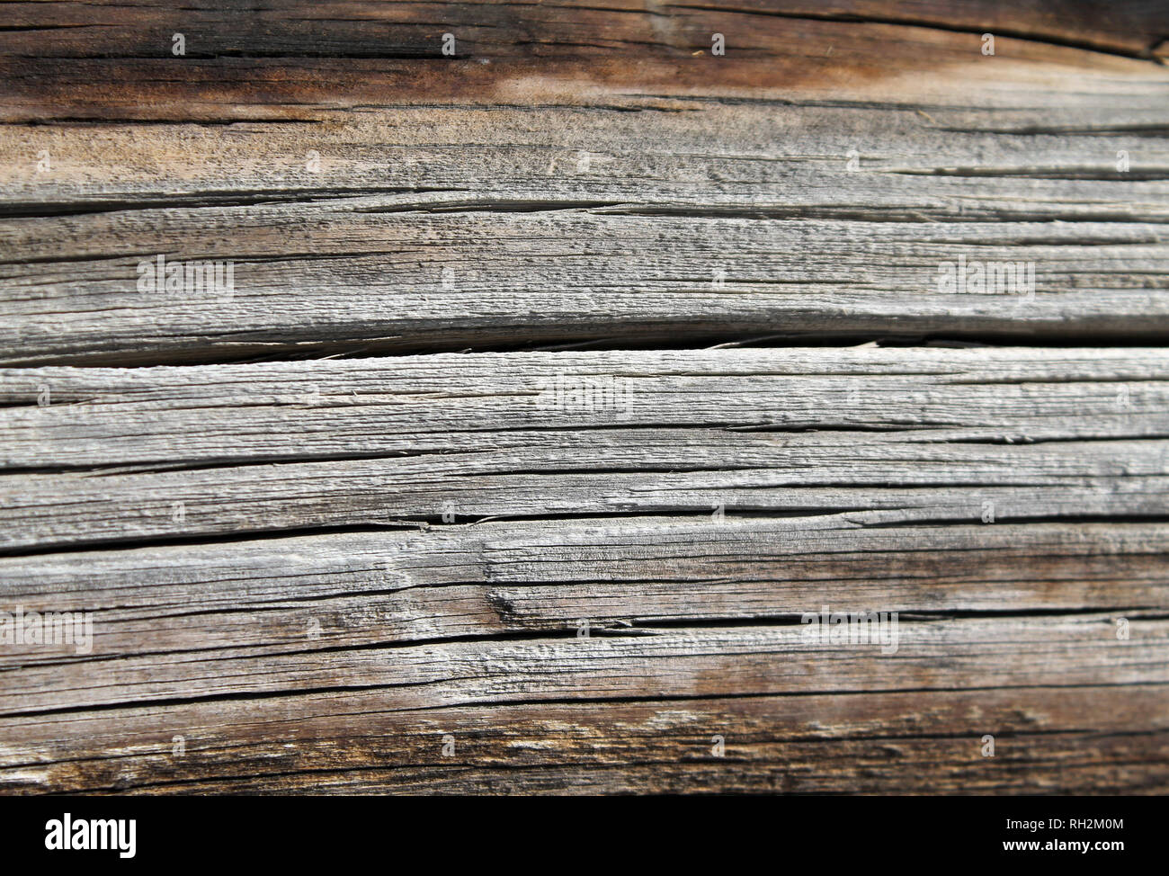 Il legno vecchio texture con modelli naturali. All interno dell albero dello sfondo. Vecchio grungy e stagionato in legno grigio parietali sfondo texture Foto Stock