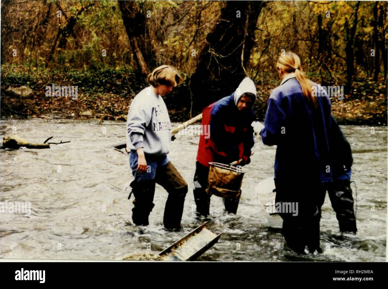 . Costruzione di Illinois" memoria biologica : un quadro a lungo termine per il monitoraggio degli ecosistemi. Monitoraggio ambientale. s^^. Ecowatch cittadino scienziati raccogliere macroinvertebrati acquatici da un flusso di Illinois. Indicatori ecologici: Prendere il polso della salute degli ecosistemi Illinois è univocamente situato in America ecologiche del crocevia. Cinque distinte eco-regioni o "biomi" si riuniscono entro il nostro stato. Essi includono la eastern bosco di latifoglie, western grande pianura del nord della foresta boreale, Ozark elevare, e sud della pianura costiera. Questo patchwork di biomi è un melting pot per un estremo Foto Stock