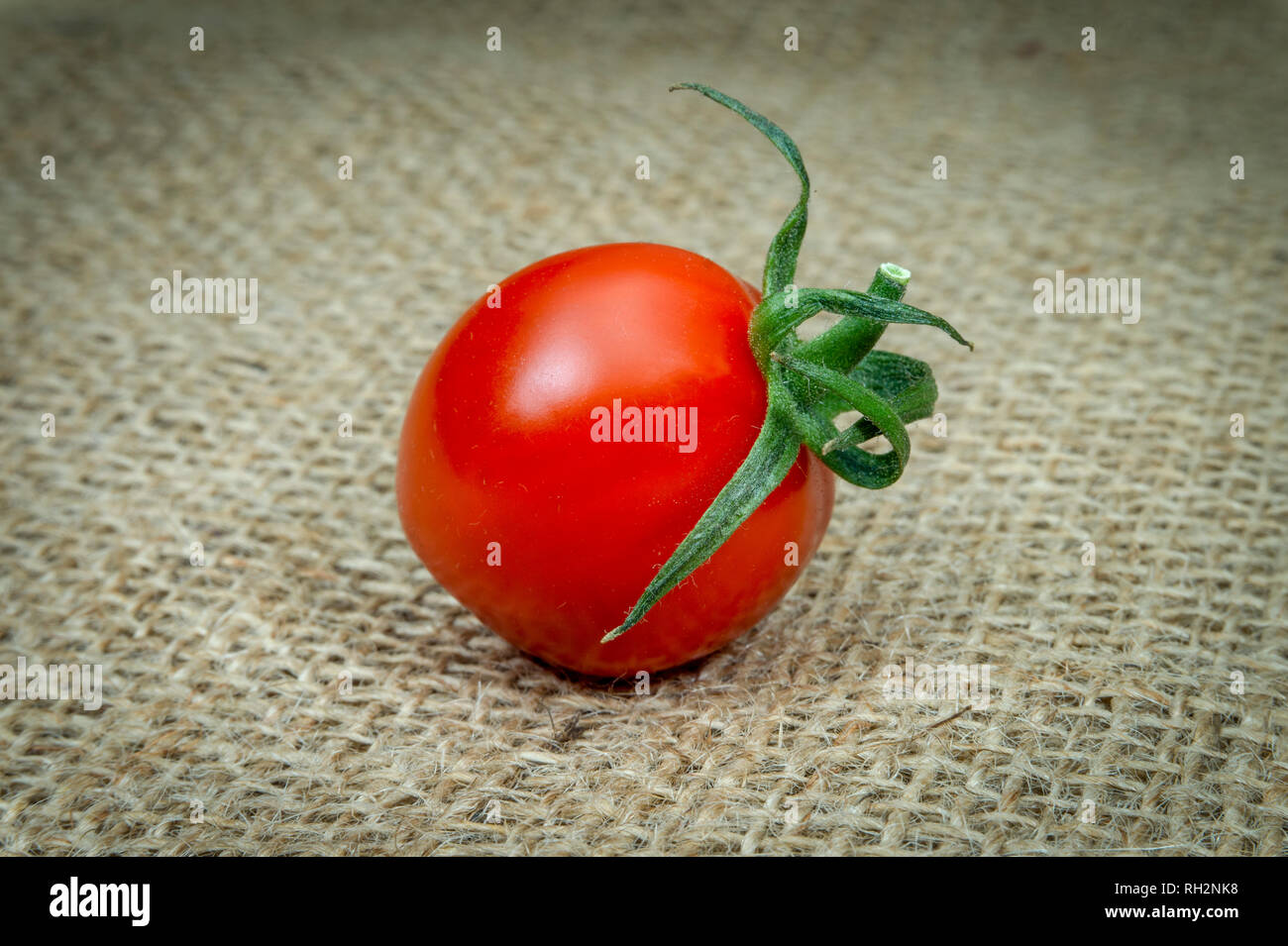 Solo rossi freschi pomodori ciliegia sulla Tela canvas background Foto Stock