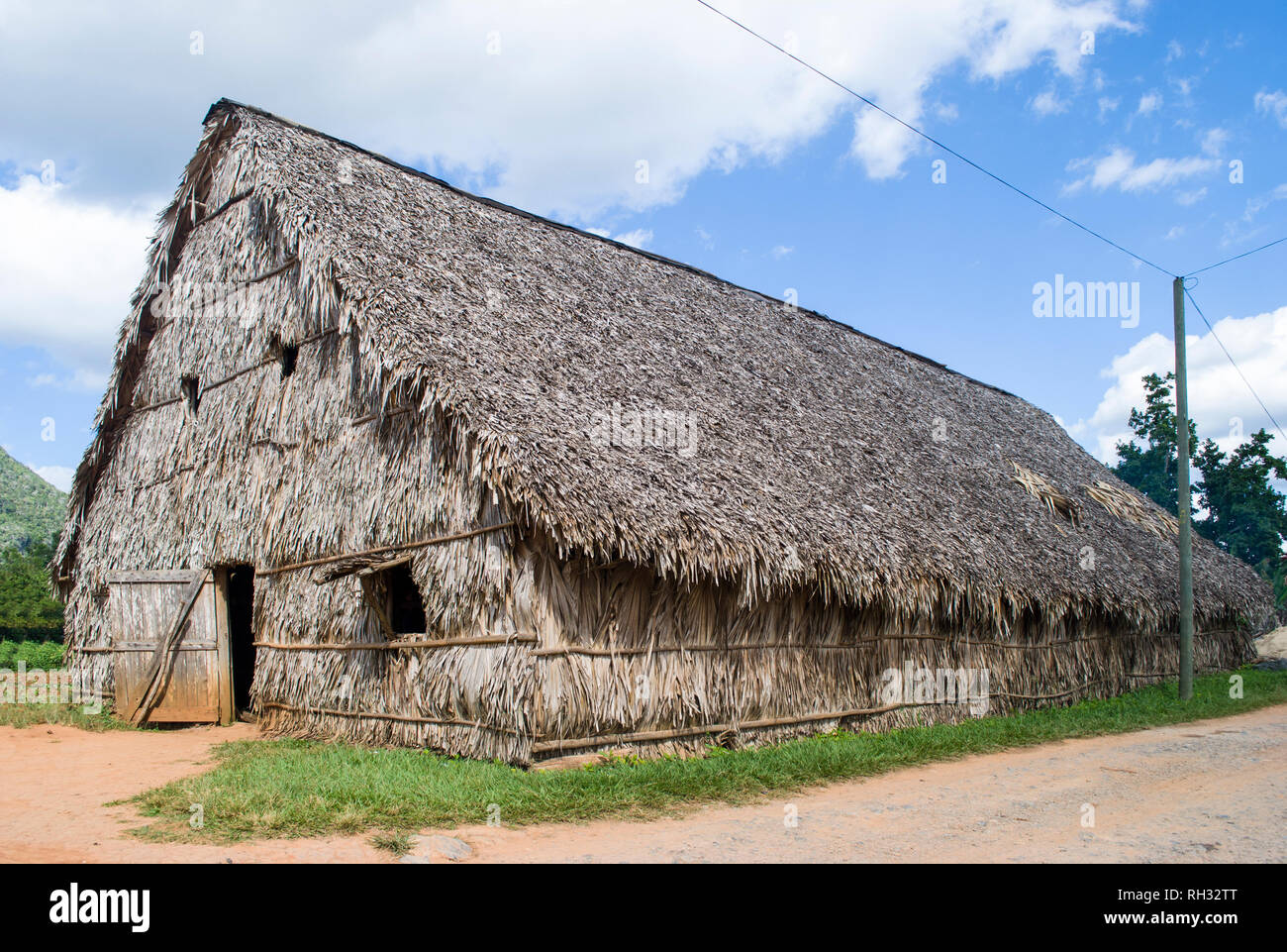 Fabbrica di sigari di Cuba. Capanno fatto di foglie di palma. La produzione manuale di sigari cubani. La coltivazione del tabacco in Vinales. Foto Stock