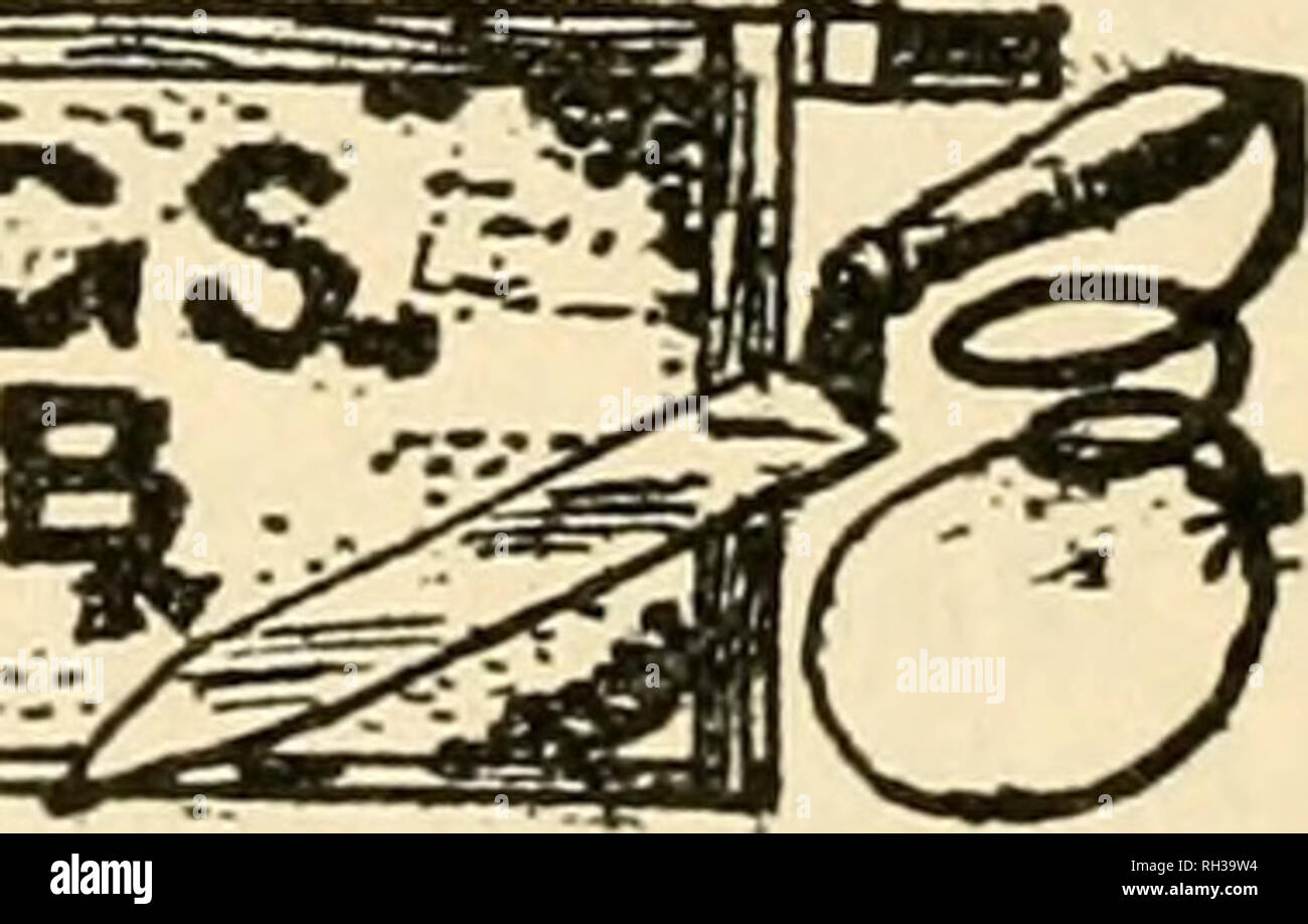 . British bee ufficiale &AMP; gli apicoltori consigliere. Le api. JNGSi M"ltor&GT;.. Una nuova nota (p. 337).-le grazie di tutti i lavoratori di associazione sono dovuti al sig. Ham- shar per la nota egli colpisce. Come spesso è suggerito che per "mettere in " una associazione è importante come per "uscire" di esso? Vi è un ampia voragine spirituale tra i due ma non un onu- bridgable golfo. Vi è, ahimè! Un buon affare più " out " spirito di del " mettere in." e di chi è la colpa della natura umana, senza dubbio, ma i funzionari di associazione non sono esenti da colpe. Essi, come per la maggior parte o Foto Stock