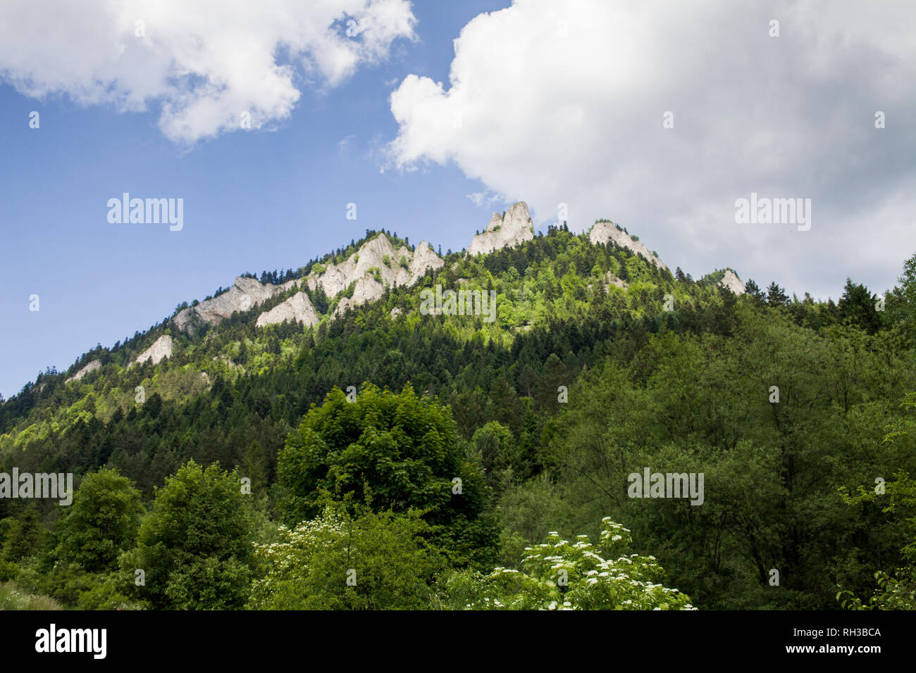 Montagne Tre Corone (Trzy Korony) è polacco Pieniny. Parco nazionale di Pieniny. Le montagne e i paesaggi al di sopra del Dunajec. Foto Stock