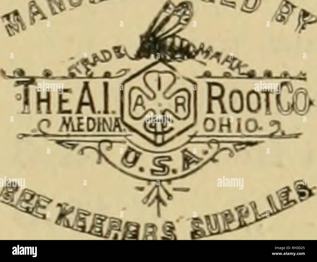 . British bee ufficiale &AMP; gli apicoltori consigliere. Le api. ^OfjUJ TOger. BBfti i Concessionari e gli apicoltori vedrà i suddetti marchi stampigliati su ogni pacchetto originale di root, erbacce e sulla slitta all interno di ogni tale confezione, dal 1 lb. al 50 lb. dimensioni. " WEED " eccelle su tutte le altre fondazioni in puro- ness, con impossibilità di comunicare fallo germi di covata, tenacità e conseguente economicità, facilità di movimentazione in tutti i tempi senza rotture e accettazione da parte dell'api. Queste rivendicazioni sono ora copiati dai fornitori di altre fondazioni importati che, non essendo effettuata su una macchina di erbaccia, canno Foto Stock