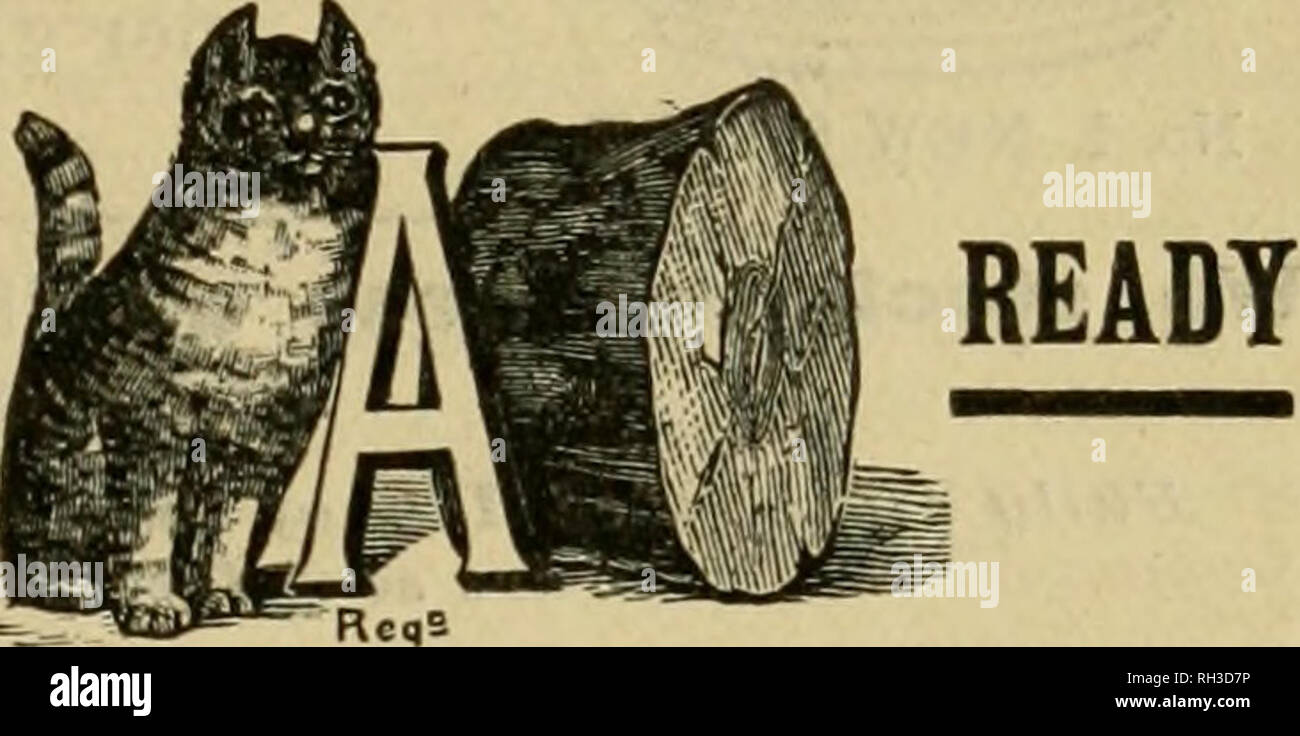 . British bee ufficiale &AMP; gli apicoltori consigliere. Le api. I concessionari e gli apicoltori vedrà i suddetti marchi stampigliati su ogni pacchetto originale di root, erbacce e sulla slitta all interno di ogni tale confezione, dal 1 lb. al 50 lb. dimensioni. •' Infestante " eccelle su tutte le altre fondazioni in puro- ness, con impossibilità di comunicare fallo germi di covata, tenacità e conseguente economicità, facilità di movimentazione in tutti i tempi senza rotture e accettazione da parte dell'api. Queste rivendicazioni sono ora copiati dai fornitori di altre fondazioni importati che, non essendo effettuata su una macchina di erbaccia, non le possiedono, e ts Foto Stock