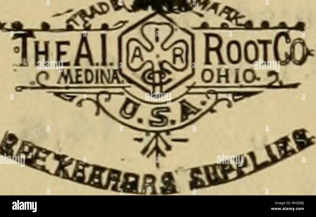 . British bee ufficiale &AMP; gli apicoltori consigliere. Le api. § *^Jf****. I concessionari e gli apicoltori vedrà i suddetti marchi stampigliati su ogni pacchetto originale di root, erbacce e sulla slitta all interno di ogni tale confezione, dal 1 lb. al 50 lb. dimensioni. •' Infestante " eccelle su tutte le altre fondazioni in puro- ness, con impossibilità di comunicare fallo germi di covata, tenacità e conseguente economicità, facilità di movimentazione in tutti i tempi senza rotture e accettazione da parte dell'api. Queste rivendicazioni sono ora copiati dai fornitori di altre fondazioni importati che, non essendo effettuata su una macchina di erbaccia, non può possedere th Foto Stock