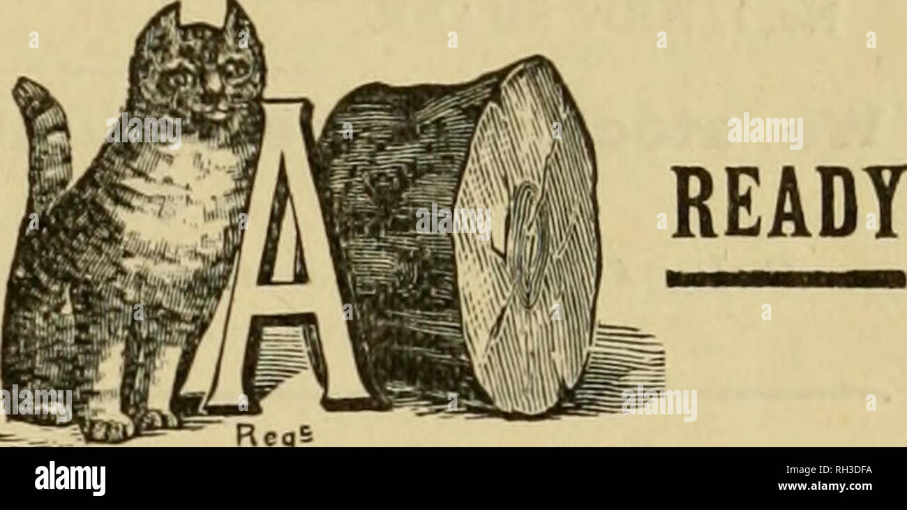 . British bee ufficiale &AMP; gli apicoltori consigliere. Api. i d^'S"** YORKSHIRE APICOLTORI' memorizza (heA.1.1 i Concessionari e gli apicoltori vedrà i suddetti marchi stampigliati su ogni pacchetto originale di root, erbacce e sulla slitta all interno di ogni tale confezione, dal 1 lb. al 50 lb. dimensioni. " WEED " eccelle su tutte le altre fondazioni in puro- ness, con impossibilità di comunicare fallo germi di covata, tenacità e conseguente economicità, facilità di movimentazione in tutti i tempi senza rotture e accettazione da parte dell'api. Queste rivendicazioni sono ora copiati dai fornitori di altre fondazioni importati che, n Foto Stock