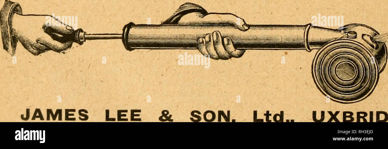 . British bee ufficiale &AMP; gli apicoltori consigliere. Le api. 150 IL BRITISH BEE ufficiale. Il 2 maggio 1918. Di alta classe di miele-distretto di produzione. North Essex, 8 trilocale Casa; soddisfare due famiglie; carbone, polli, lavatoi e stalle; un acro; freehold; Â£550 soltanto. Quattro chilometri di linea principale G.E.R., 40 London. Indicazioni, busta stampata.âDARRINGTON, Wenden, da Saffron Walden. d.47 GYPTIAN REGINA, 1918, fertile, puro ceppo, garantito sano, voluto dalla fine di maggio.â Box 30, B.B.J. Ufficio, 23, Bedford Street, Strand, W.C.2. dA8 voluto, 10-15 sciame9, consegnati entro e non oltre il 14 giugno. Disposti a pagare buona pri Foto Stock