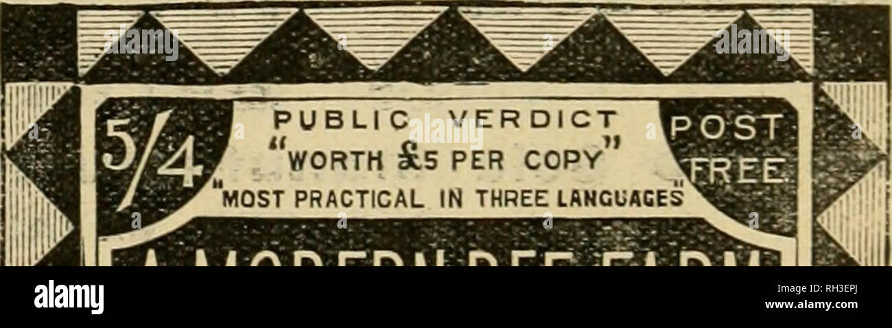. British bee ufficiale &AMP; gli apicoltori consigliere. Le api. ****,?. **^ i Concessionari e gli apicoltori vedrà i suddetti marchi stampigliati su ogni pacchetto originale di root, erbacce e sulla slitta all interno di ogni tale confezione, dal 1 lb. al 50 lb. dimensioni. " WEED " eccelle su tutte le altre Fondazioni n puro ness, con impossibilità di comunicare fallo germi di covata, tenacità e conseguente economicità, facilità di movimentazione in tutti i tempi senza rotture e accettazione da parte dell'api. Queste rivendicazioni sono ora copiati dai fornitori di altre fondazioni importati che, non essendo effettuata su una macchina di erbaccia, non può possedere Foto Stock