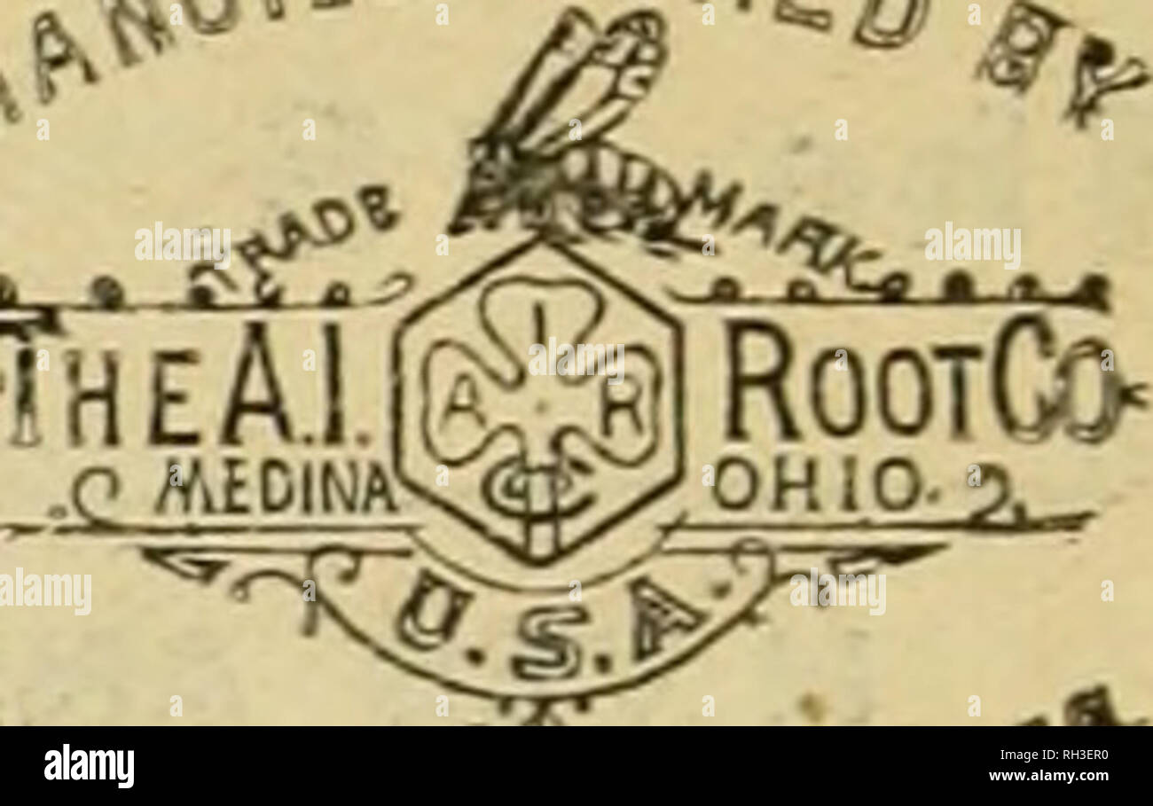 . British bee ufficiale &AMP; gli apicoltori consigliere. Le api. ****,?. **^ i Concessionari e gli apicoltori vedrà i suddetti marchi stampigliati su ogni pacchetto originale di root, erbacce e sulla slitta all interno di ogni tale confezione, dal 1 lb. al 50 lb. dimensioni. " WEED " eccelle su tutte le altre Fondazioni n puro ness, con impossibilità di comunicare fallo germi di covata, tenacità e conseguente economicità, facilità di movimentazione in tutti i tempi senza rotture e accettazione da parte dell'api. Queste rivendicazioni sono ora copiati dai fornitori di altre fondazioni importati che, non essendo effettuata su una macchina di erbaccia, non può possedere Foto Stock