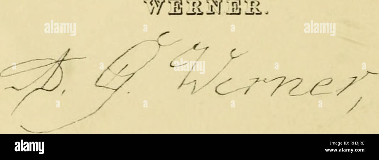 . British farfalle. Werner, Abraham Gottlob, 1749-1817; farfalle. . Si prega di notare che queste immagini vengono estratte dalla pagina sottoposta a scansione di immagini che possono essere state migliorate digitalmente per la leggibilità - Colorazione e aspetto di queste illustrazioni potrebbero non perfettamente assomigliano al lavoro originale. Duncan James, 1804-1861; Cuvier, Georges, barone, 1769-1832; Jardine, William, Sir, 1800-1874; Burth, Edward Henry, ex proprietario. DSI. Edinburgh : W. H. Lizars ; Londra : Henry G. Bohn Foto Stock