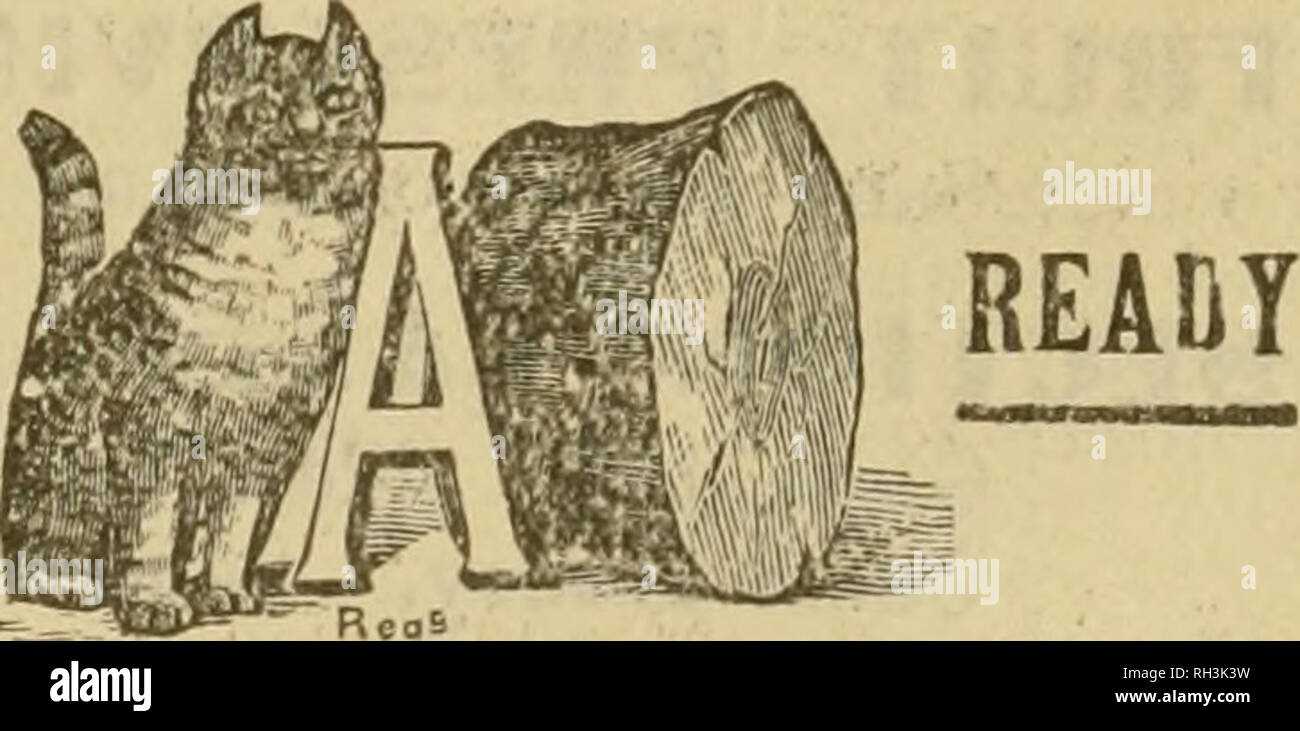 . British bee ufficiale &AMP; gli apicoltori consigliere. Le api. I concessionari e gli apicoltori vedrà i suddetti marchi stampigliati su ogni pacchetto originale di root, erbacce e sulla slitta all interno di ogni tale confezione, dal 1 lb. al 50 lb. dimensioni. " WEED " eccelle su tutte le altre fondazioni in puro- ness, con impossibilità di comunicare fallo germi di covata, tenacità e conseguente economicità, facilità di movimentazione in tutti i tempi senza rotture e accettazione da parte dell'api. Queste rivendicazioni sono ora- copiati dai fornitori di altre fondazioni importati che, non essendo effettuata su una macchina di erbaccia, non le possiedono, e Foto Stock