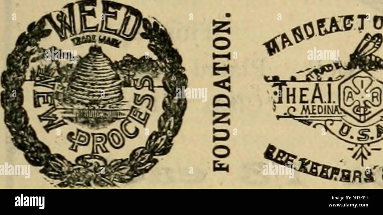 . British bee ufficiale &AMP; gli apicoltori consigliere. Le api. Oct. 29,1908.] Il BRITISH BEE UFFICIALE. B XHE EE CANDY ©F ALDWIN il famoso rendono ancora conduce. Campione 61b., post libero, 3/- riduzione per quantitativi. S. J. B. Apiariy", BROMLEY, KENT. )0S&GT; * gS^. iRooTGf&GT; i concessionari e gli apicoltori eee i suddetti marchi 6pestato su ogni pacchetto originale di root, erbacce e sulla slitta all interno di ogni tale confezione, dal 1 lb. al 50 lb. dimensioni. " WEED " eccelle su tutte le altre fondazioni in puro- ness, con impossibilità di comunicare fallo germi di covata, tenacità e conseguente economicità, facil Foto Stock