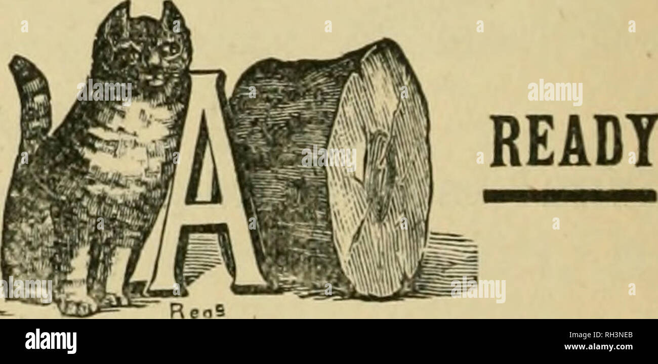 . British bee ufficiale &AMP; gli apicoltori consigliere. Le api. I concessionari e gli apicoltori vedrà i suddetti marchi stampigliati su ogni pacchetto originale di root, erbacce e sulla slitta all interno di ogni tale confezione, dal 1 lb. al 50 lb. dimensioni. " WEED " eccelle ell altre fondazioni in puro- ness, con impossibilità di comunicare fallo germi di covata, tenacità e conseguente economicità, facilità di movimentazione in tutti i tempi senza rotture e accettazione da parte dell'api. Queste rivendicazioni sono ora copiati dai fornitori di altre fondazioni importati che, non essendo effettuata su una macchina di erbaccia, non le possiedono, e Foto Stock
