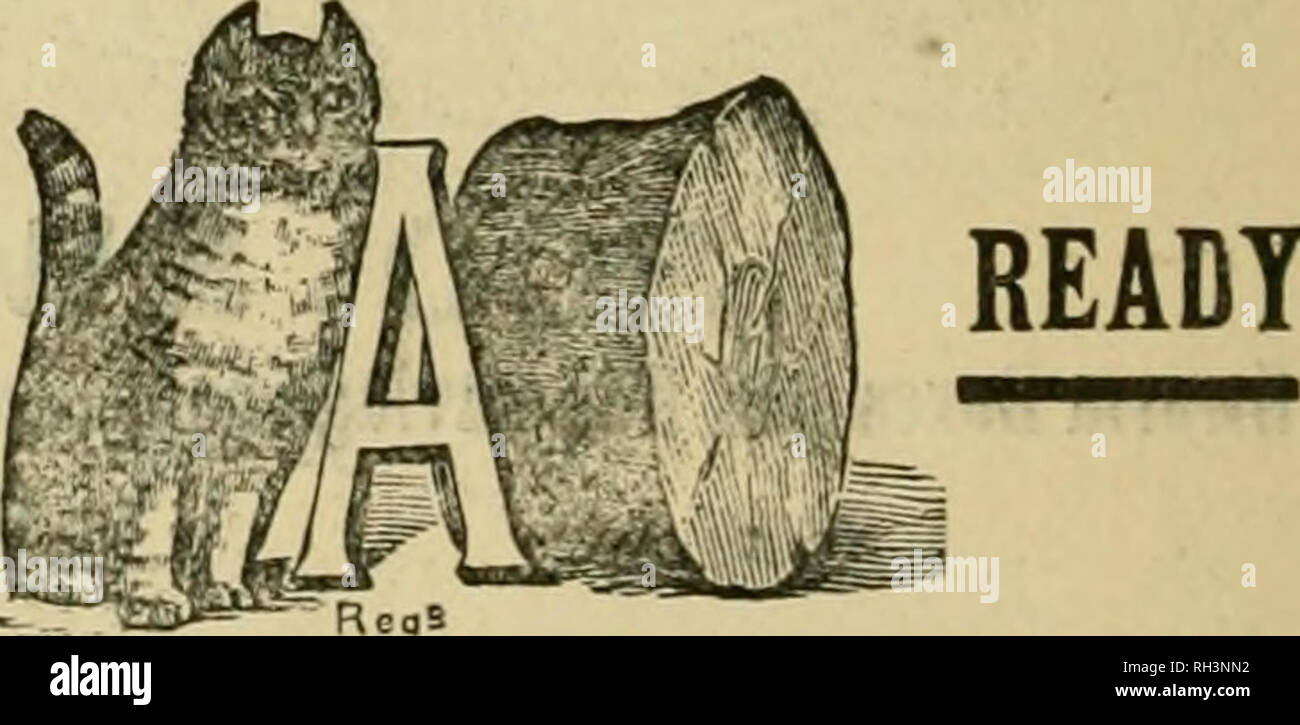 . British bee ufficiale &AMP; gli apicoltori consigliere. Api. L*HEAlfe^l root(&amp; i concessionari e gli apicoltori vedrà i suddetti marchi stampigliati su ogni pacchetto originale di root, erbacce e sulla slitta all interno di ogni tale confezione, dal 1 lb. al 50 lb. dimensioni. " WEED " eccelle su tutte le altre fondazioni in puro- ness, con impossibilità di comunicare fallo germi di covata, tenacità e conseguente economicità, facilità di movimentazione in tutti i tempi senza rotture e accettazione da parte dell'api. Queste rivendicazioni sono ora copiati dai fornitori di altre fondazioni importati che, non essendo effettuata su una macchina di erbaccia, può Foto Stock