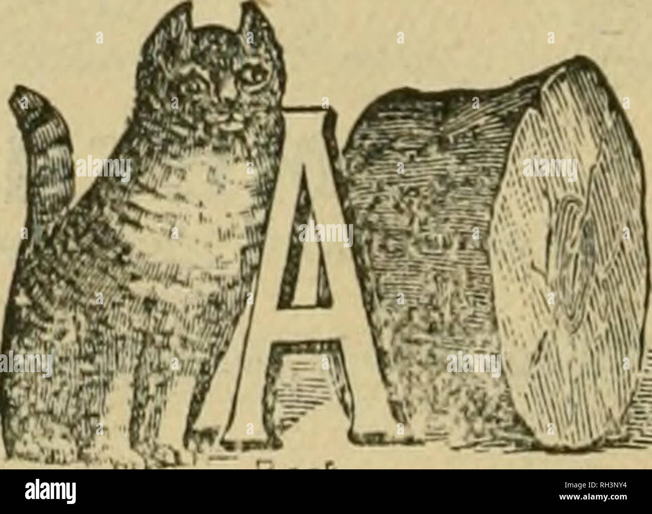 . British bee ufficiale &AMP; gli apicoltori consigliere. Le api. I concessionari e gli apicoltori vedrà i suddetti marchi stampigliati su ogni pacchetto originale di root, erbacce e sulla slitta all interno di ogni tale confezione, dal 1 lb. al 50 lb. dimensioni. " WEED " eccelle su tutte le altre fondazioni in puro- ness, con impossibilità di comunicare fallo germi di covata, tenacità e conseguente economicità, facilità di movimentazione in tutti i tempi senza rotture e accettazione da parte dell'api. Queste rivendicazioni sono ora copiati dai fornitori di altre fondazioni importati che, non essendo effettuata su una macchina di erbaccia, non le possiedono, e Foto Stock