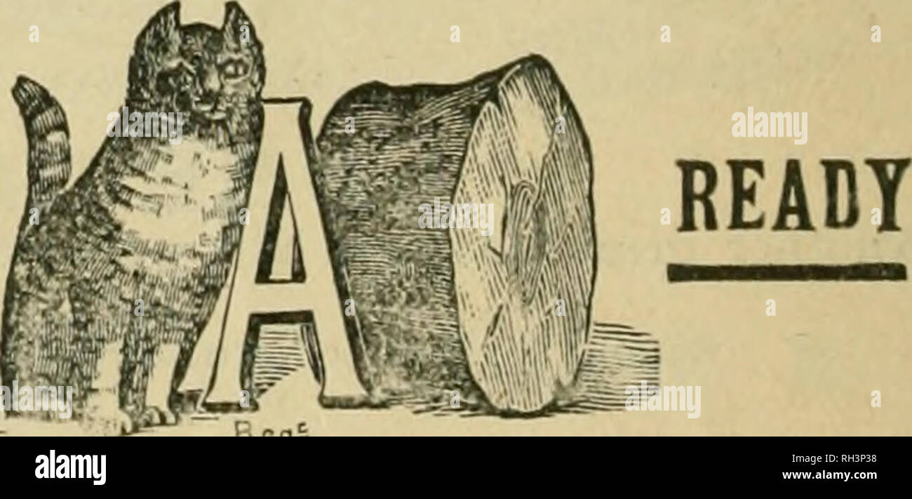 . British bee ufficiale &AMP; gli apicoltori consigliere. Le api. *"" ^Qf ACTO^ L'AIL,%â€p8(JG 6Â"f*v i Concessionari e gli apicoltori vedrà i suddetti marchi stampigliati su ogni pacchetto originale di root, erbacce e sulla slitta all interno di ogni tale confezione, dal 1 lb. al 50 lb. dimensioni. " WEED " eccelle su tutte le altre fondazioni in puro- ness, con impossibilità di comunicare fallo germi di covata, tenacità e conseguente economicità, facilità di movimentazione in tutti i tempi senza rotture e accettazione da parte dell'api. Queste rivendicazioni sono ora copiati dai fornitori di altre fondazioni importati che non bein Foto Stock