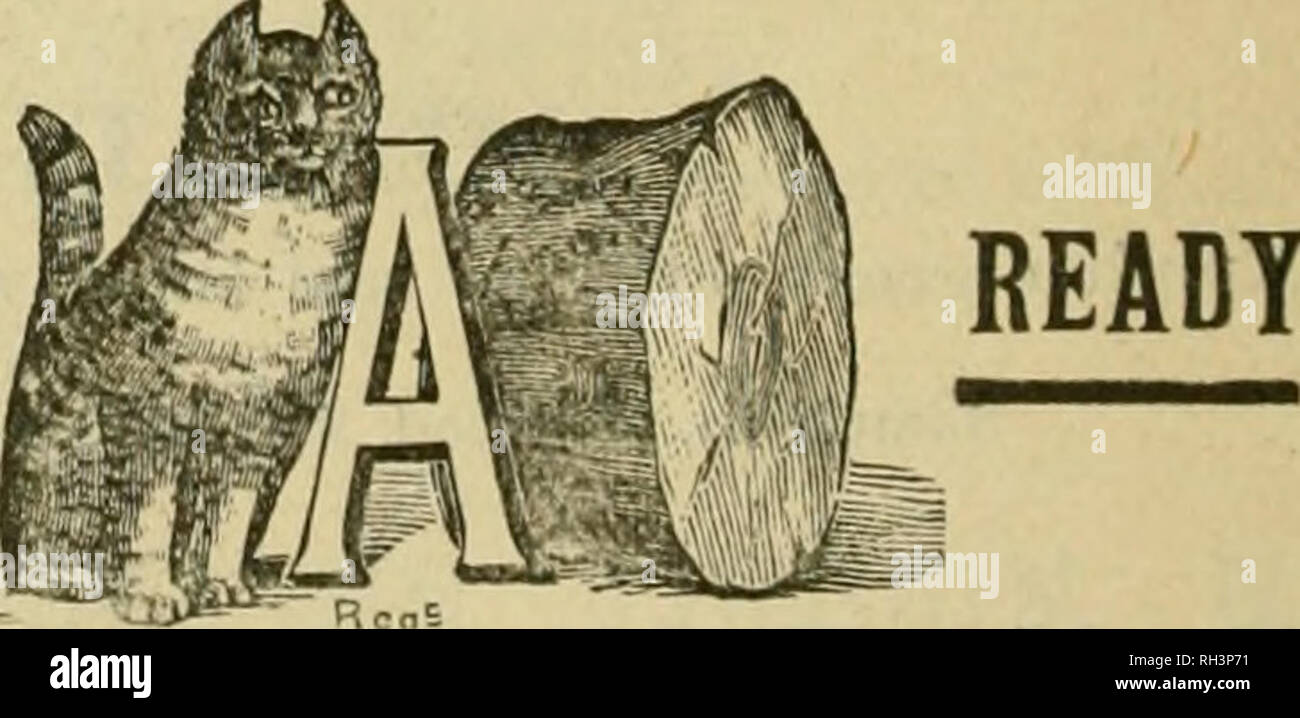 . British bee ufficiale &AMP; gli apicoltori consigliere. Le api. I concessionari e gli apicoltori vedrà i suddetti marchi stampigliati su ogni pacchetto originale di root, erbacce e sulla slitta all interno di ogni tale confezione, dal 1 lb. al 50 lb. dimensioni. "WEED" eccelle su tutte le altre fondazioni in puro- ness, con impossibilità di comunicare fallo germi di covata, tenacità e conseguente economicità, facilità di movimentazione in tutti i tempi senza rotture e accettazione da parte dell'api. Queste rivendicazioni sono ora copiati dai fornitori di altre fondazioni importati che, non essendo effettuata su una macchina di erbaccia, non le possiedono, e TH Foto Stock