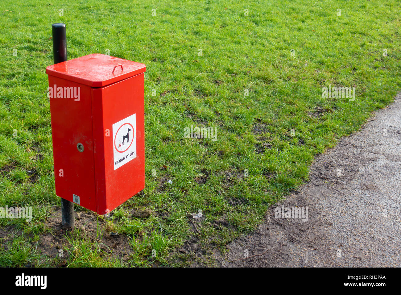 Un cane bidone dei rifiuti a Bury, Lancashire Foto Stock